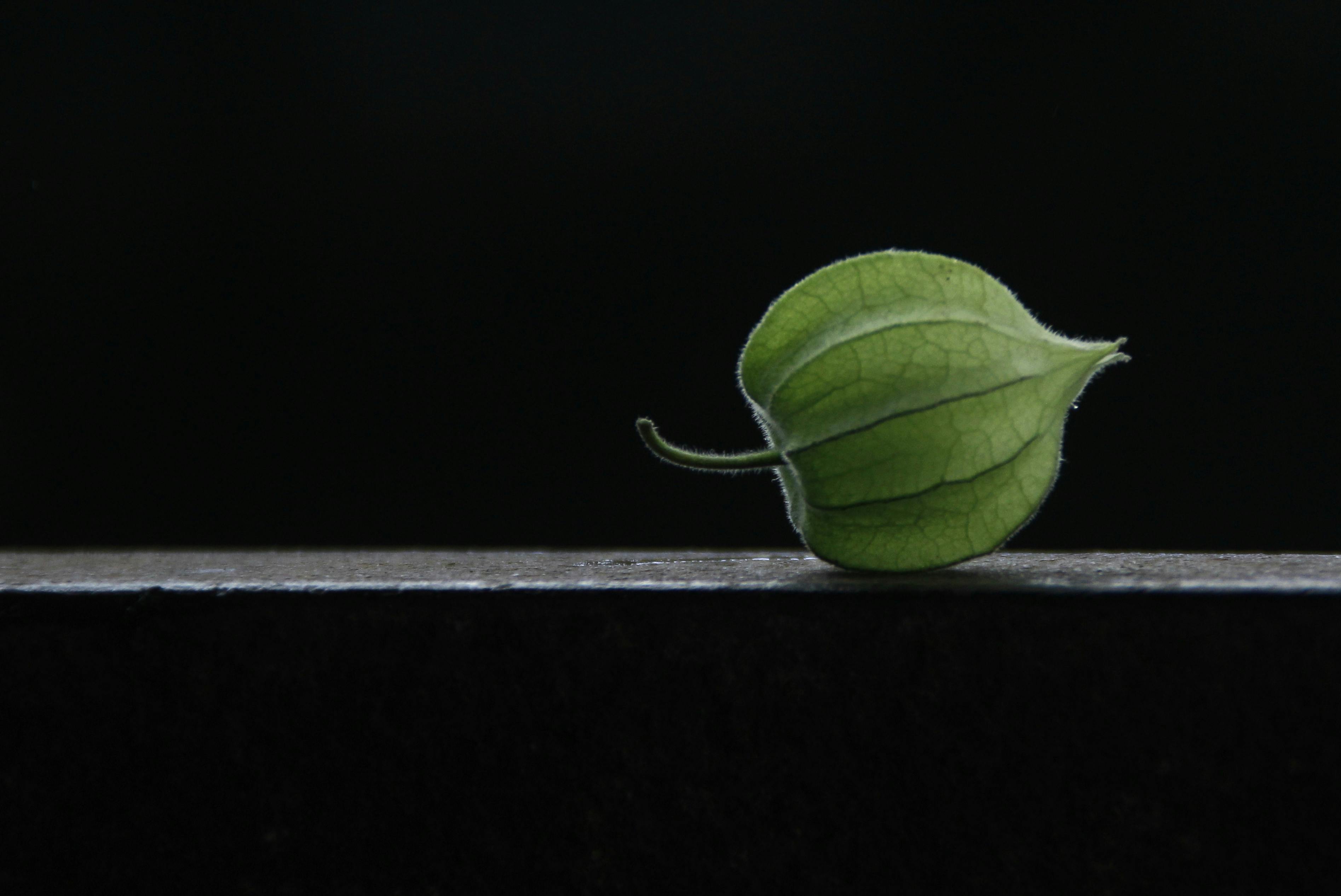 As Gold Prices Surge, Here’s How to Use the Precious Metal to Generate Income