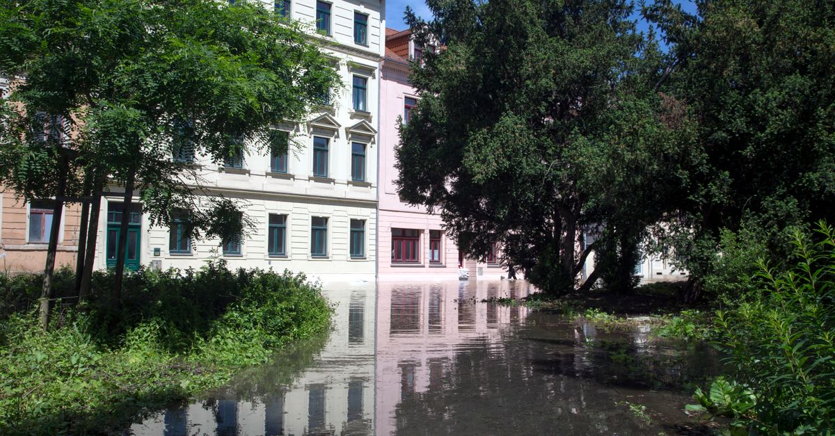 Sunlit flooded street lined with historical buildings and lush greenery.