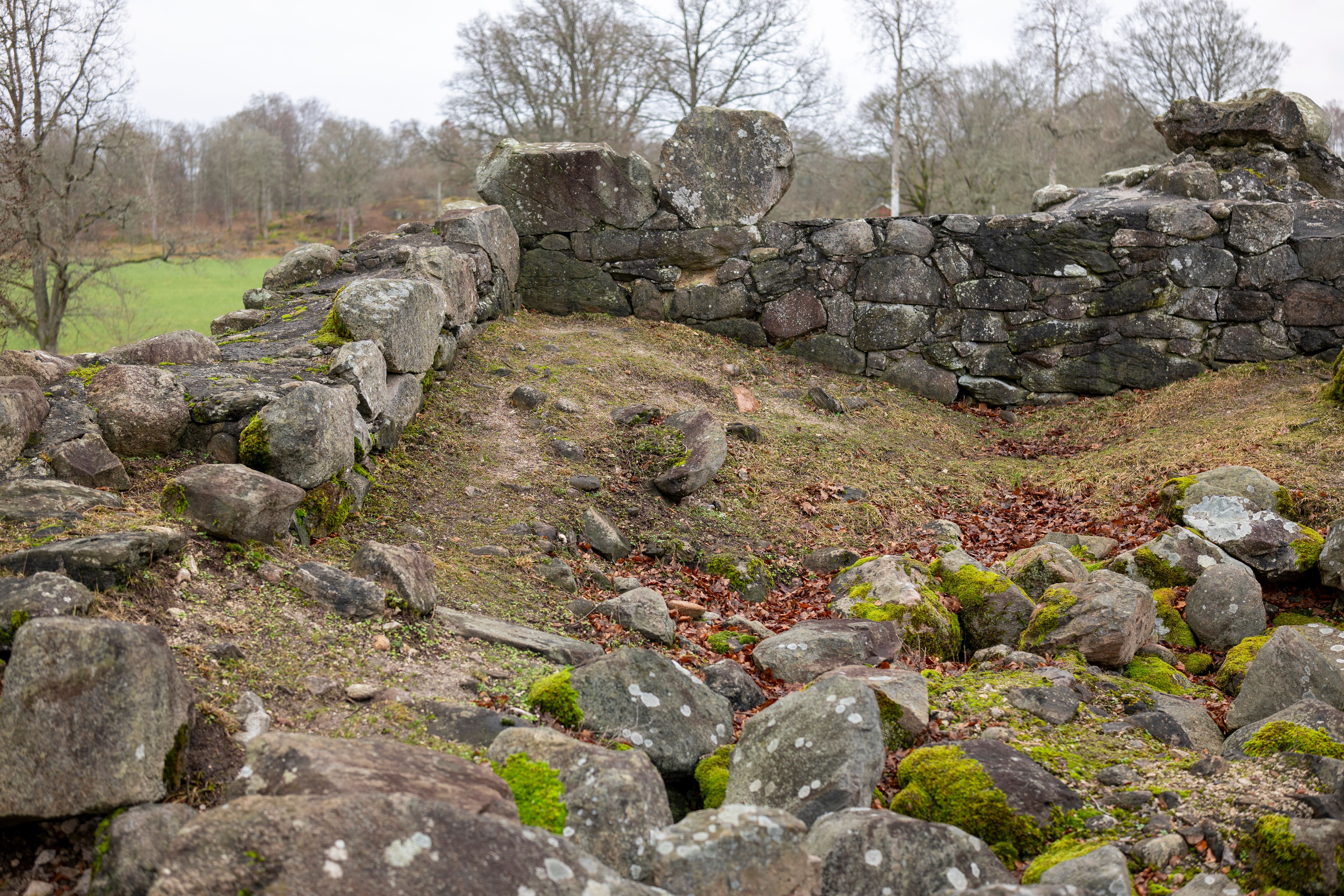 Borgby borg ruinfort