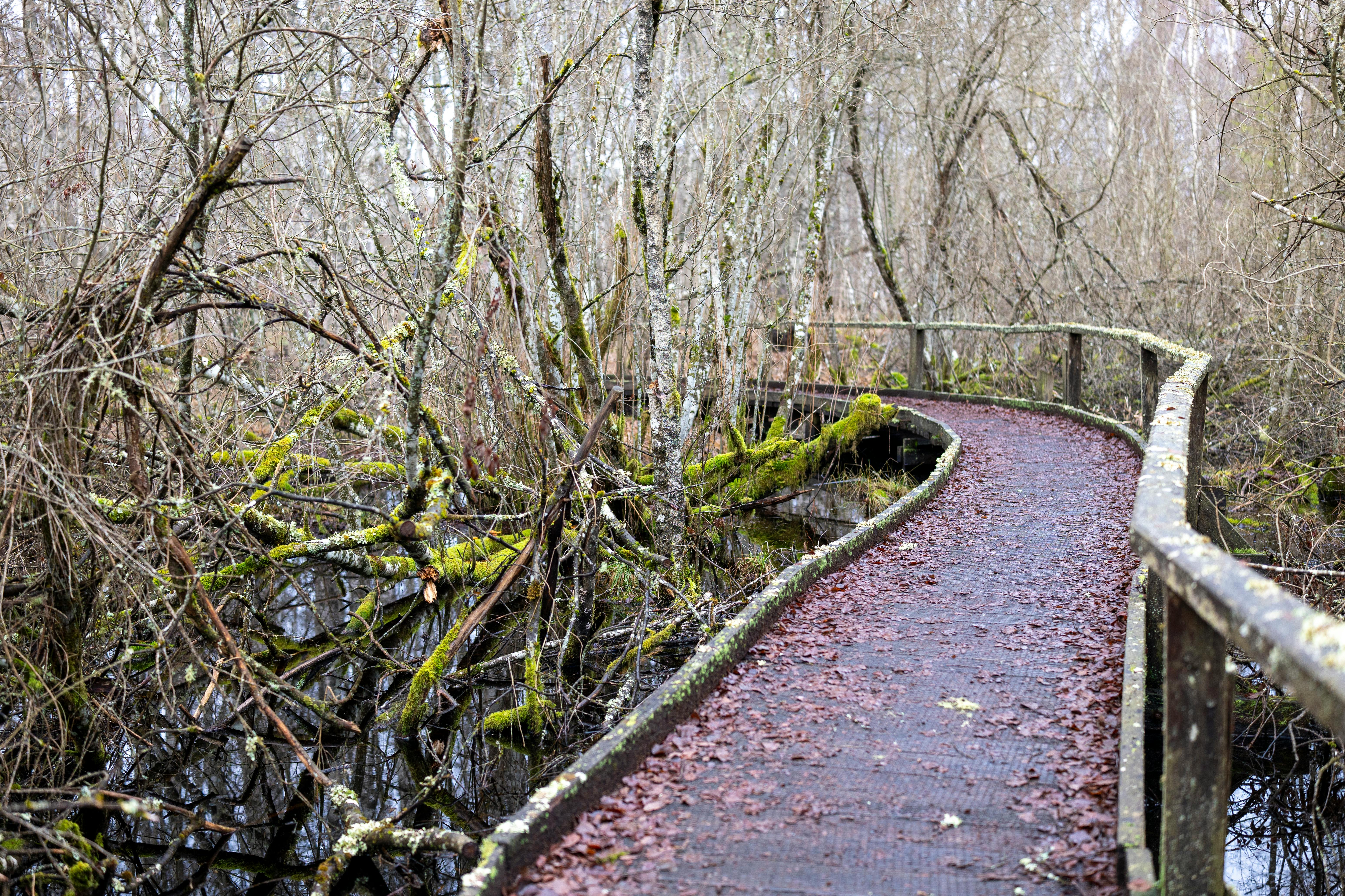 Sustainable Travel Tips for Eco Conscious Globetrotters