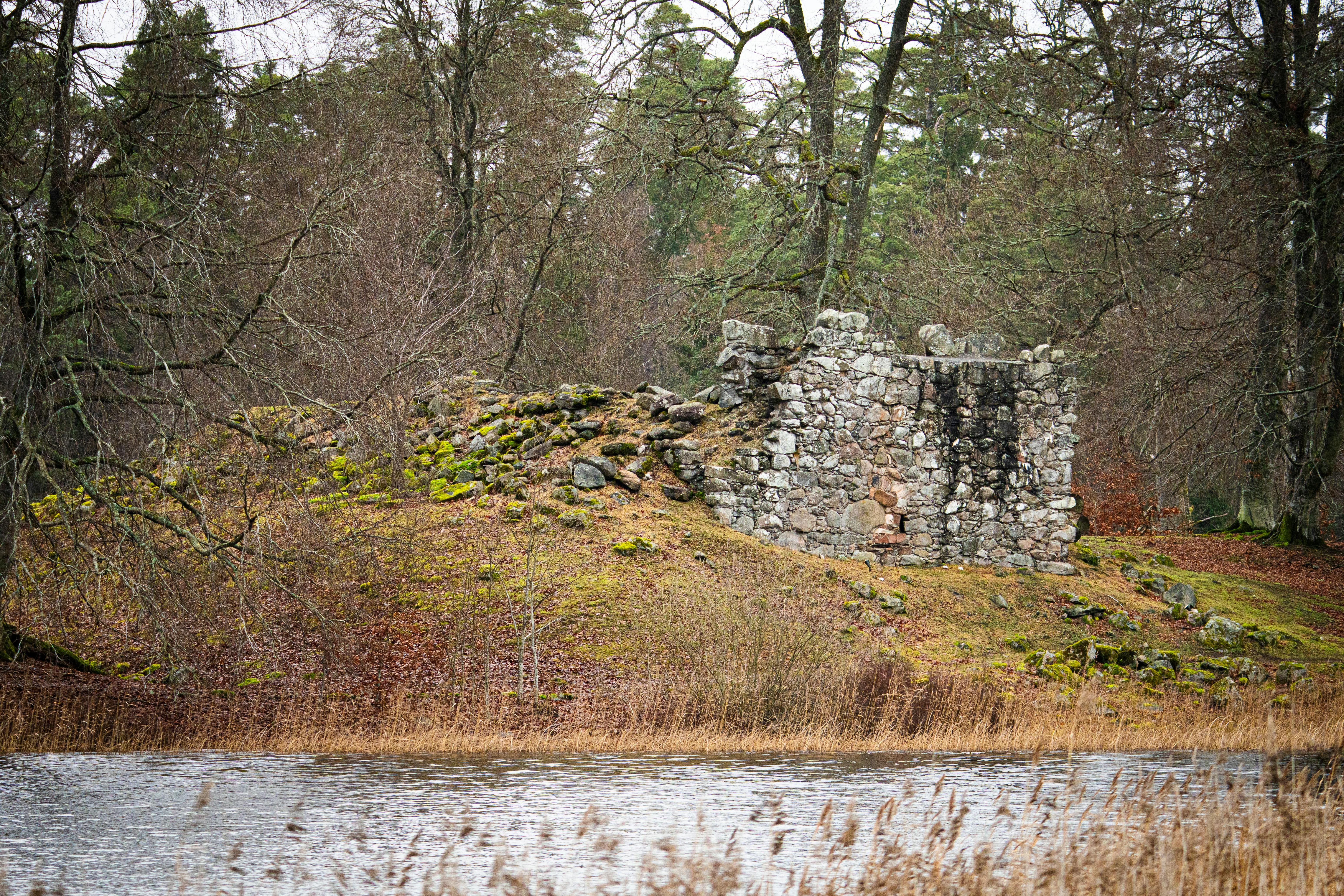U.S. Clean Energy Faces $32 Billion Blow: Projects Canceled by 2025