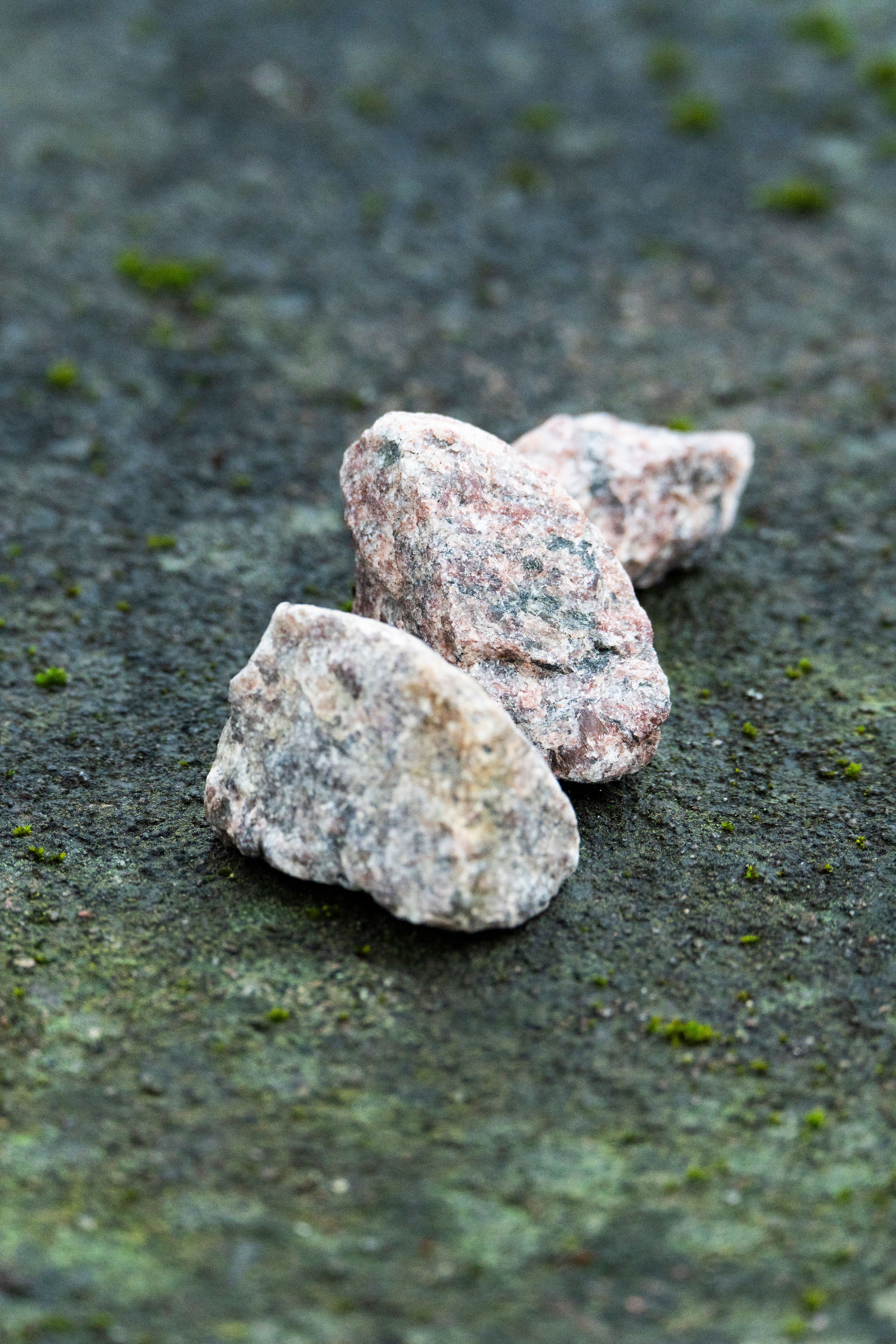 Fotomural Toma detallada de tres piedras dispuestas sobre una superficie cubierta de musgo.