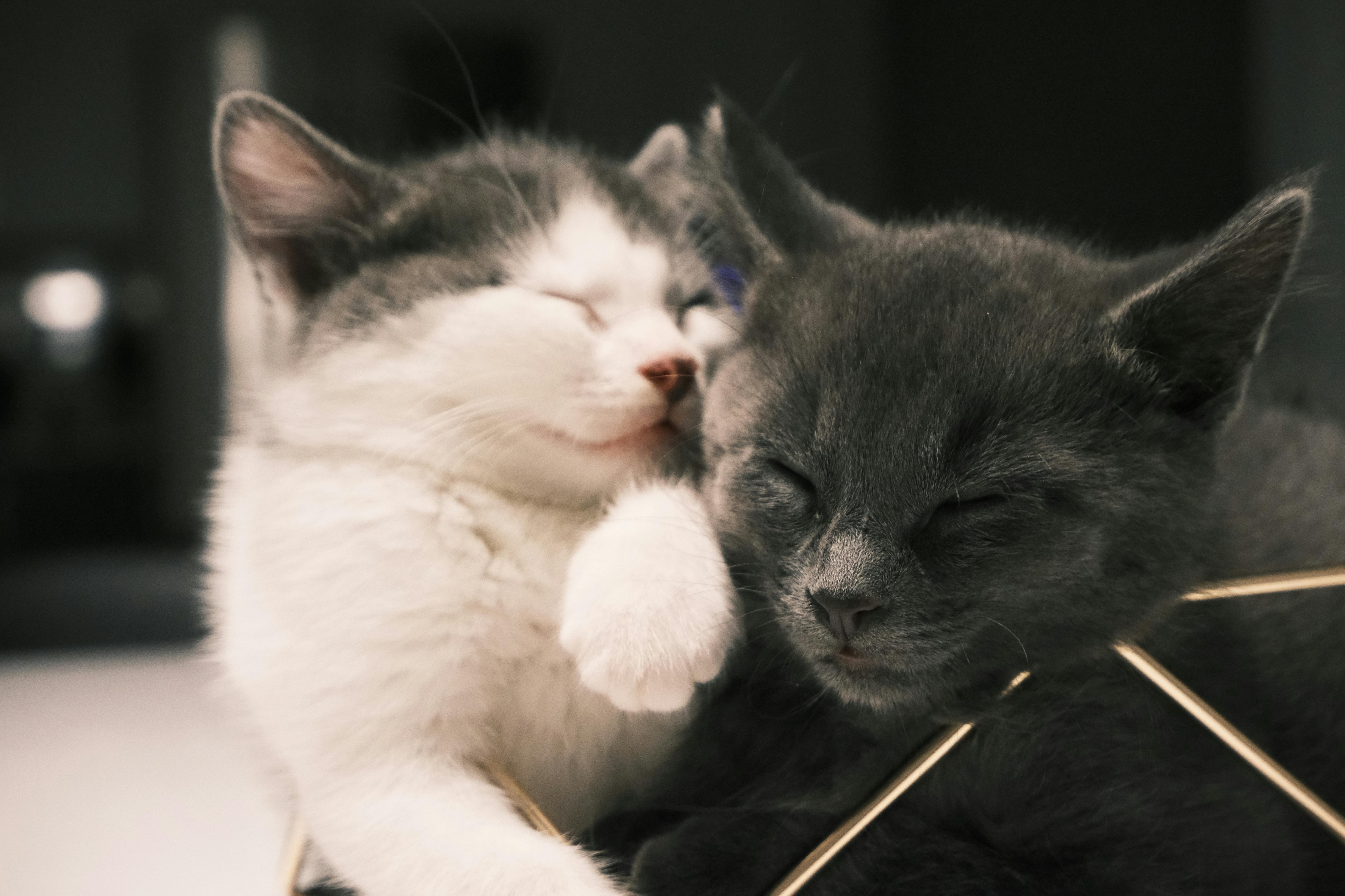 Hidden Secrets to Deep Sleep Every Night