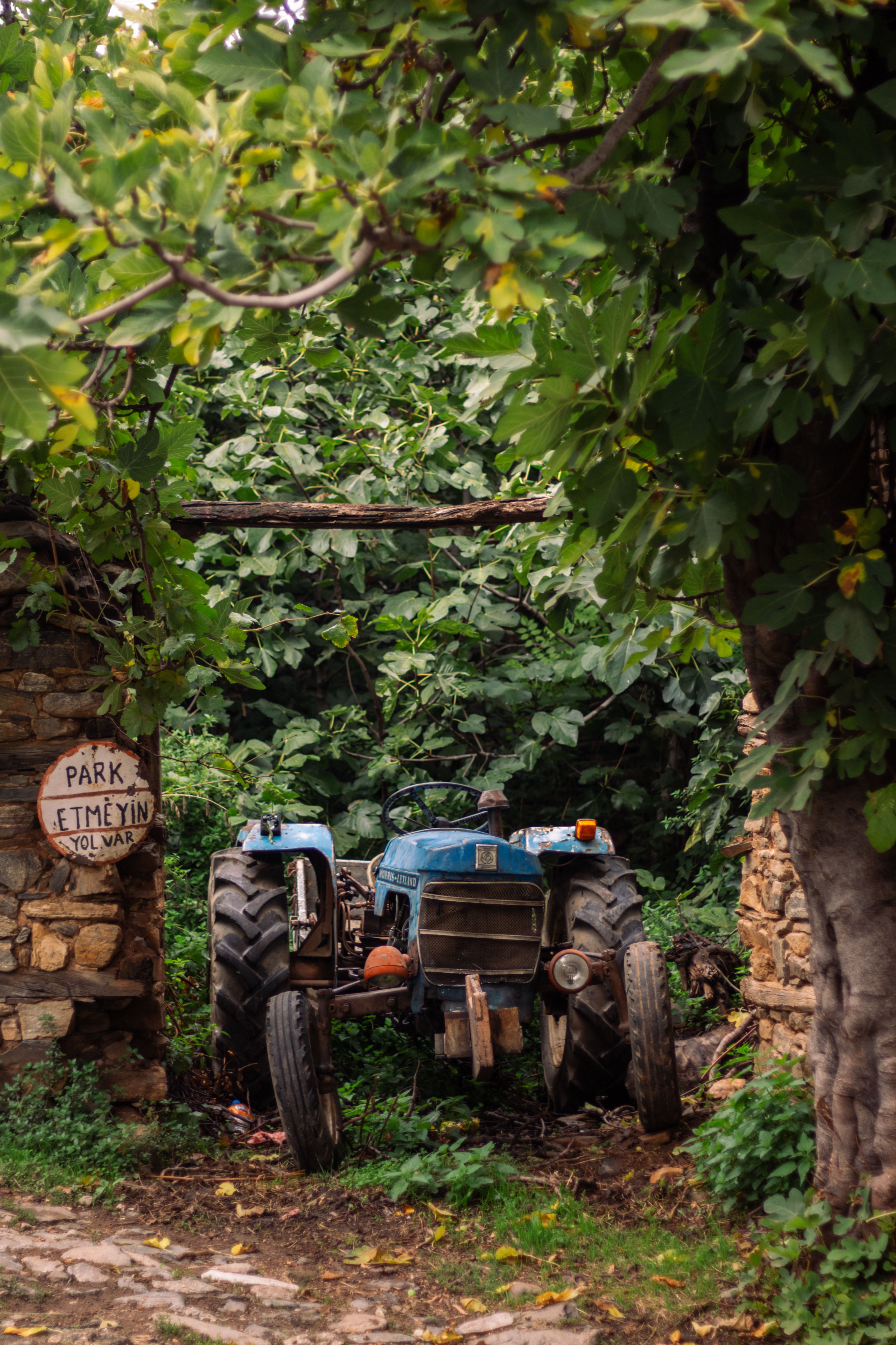 Rustic Tractor in Overgrown Garden Pathway · Free Stock Photo