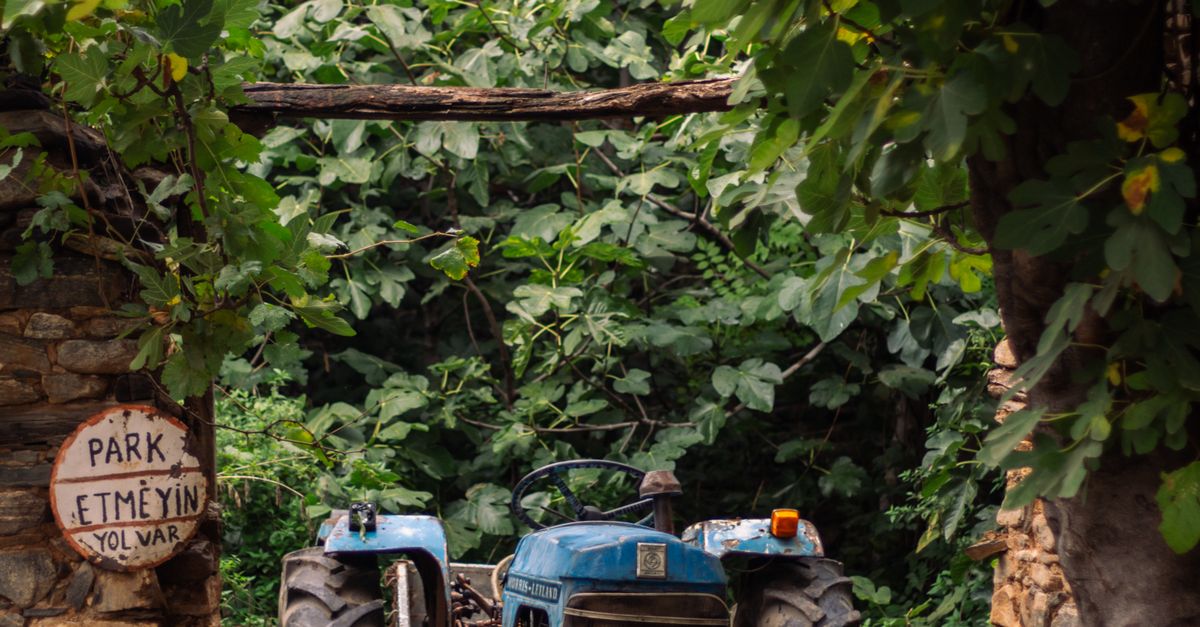 Rustic Tractor Hub Rustic Tractor in Overgrown Garden Pathway · Free Stock Photo