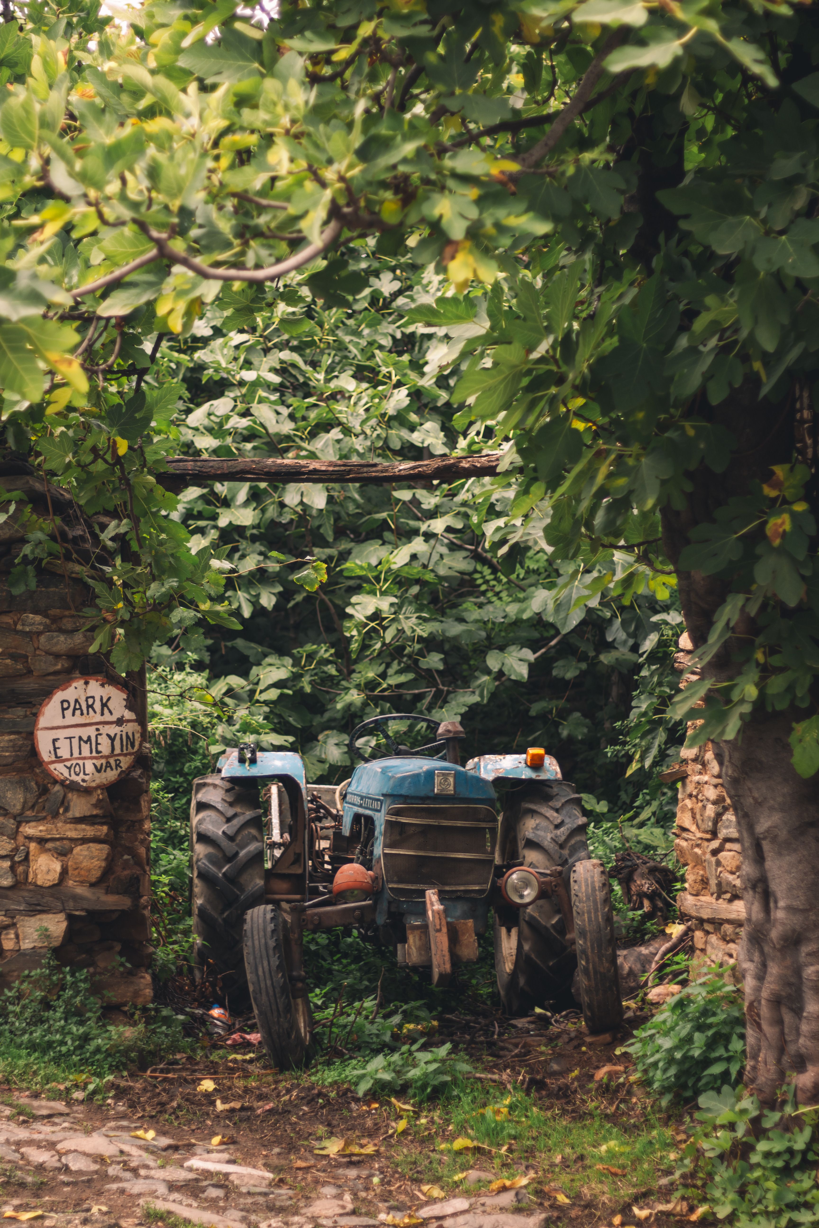 Rustic Tractor in Lush Greenery Archway · Free Stock Photo