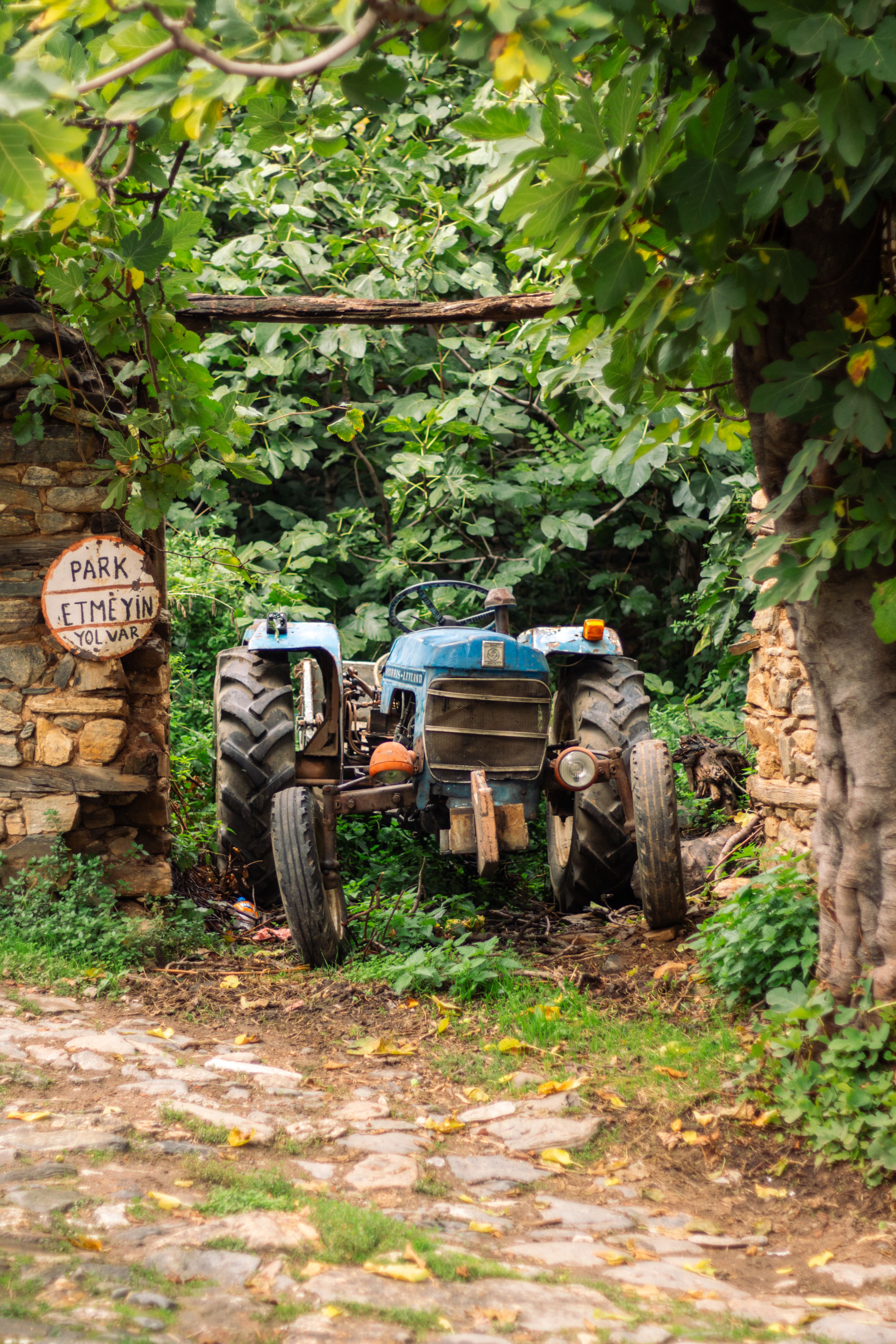 Rustic Farm Scene with Vintage Blue Tractor · Free Stock Photo