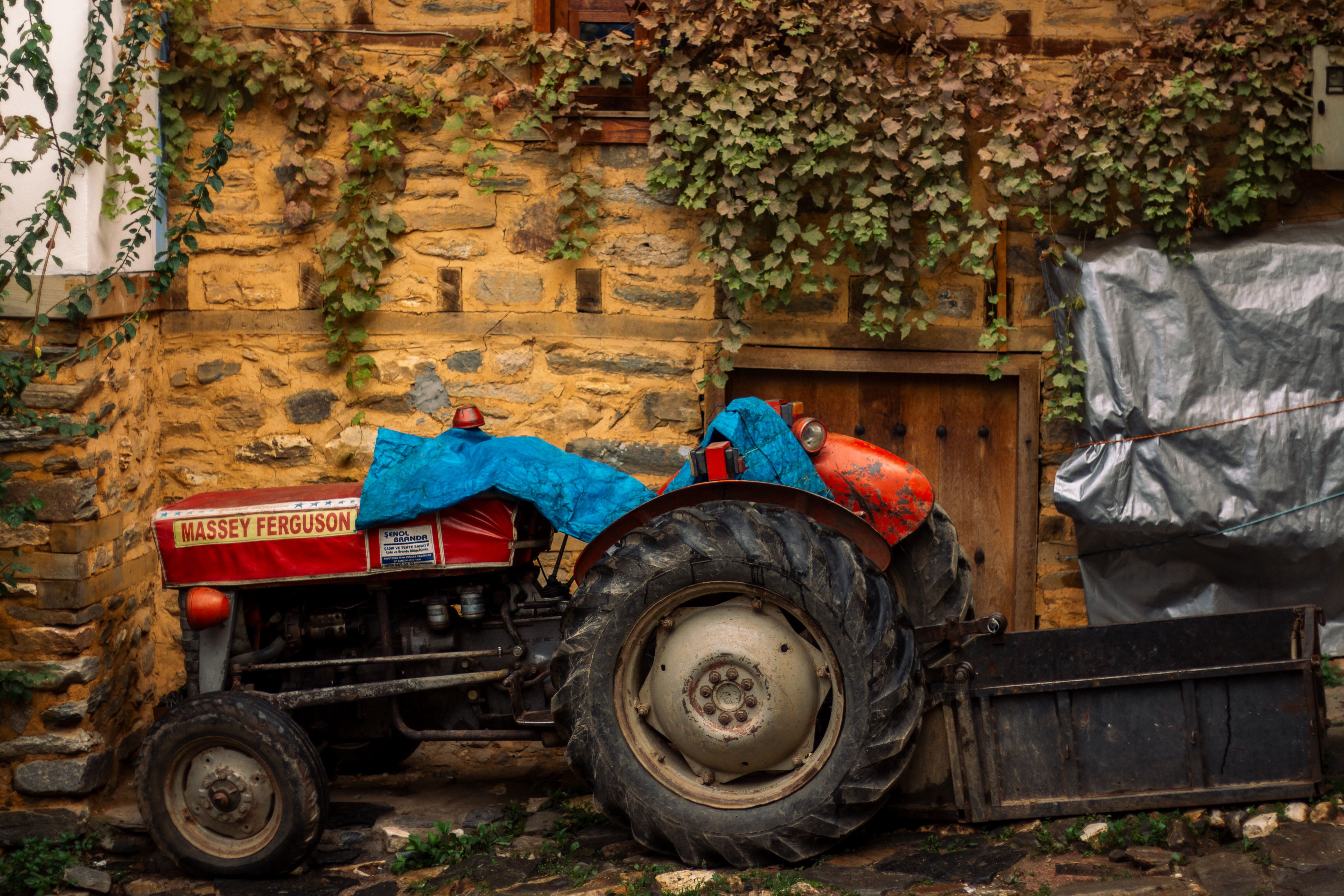 Weathered Massey Ferguson tractor parked against ivy-covered stone wall