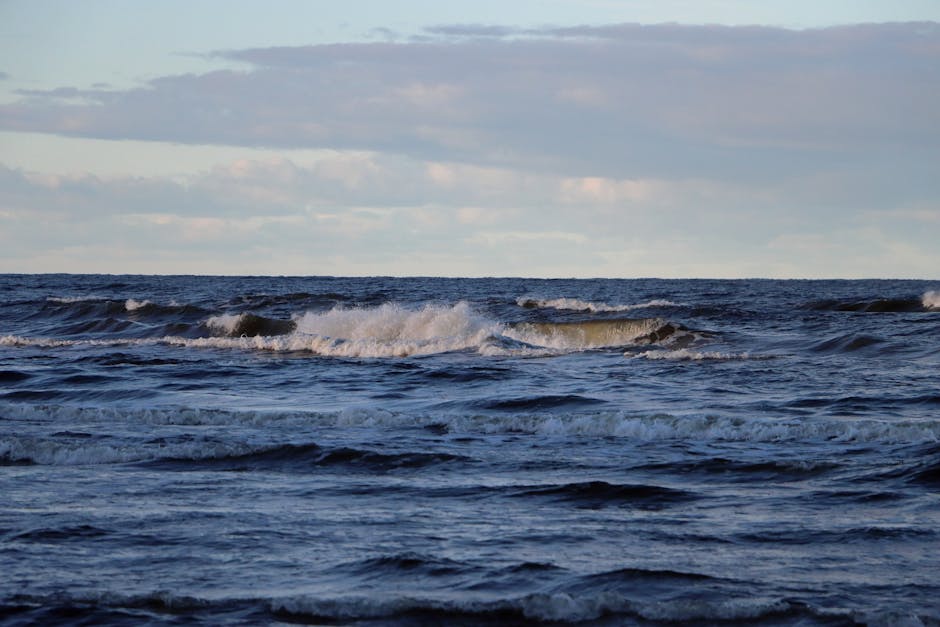 Current Weather Conditions