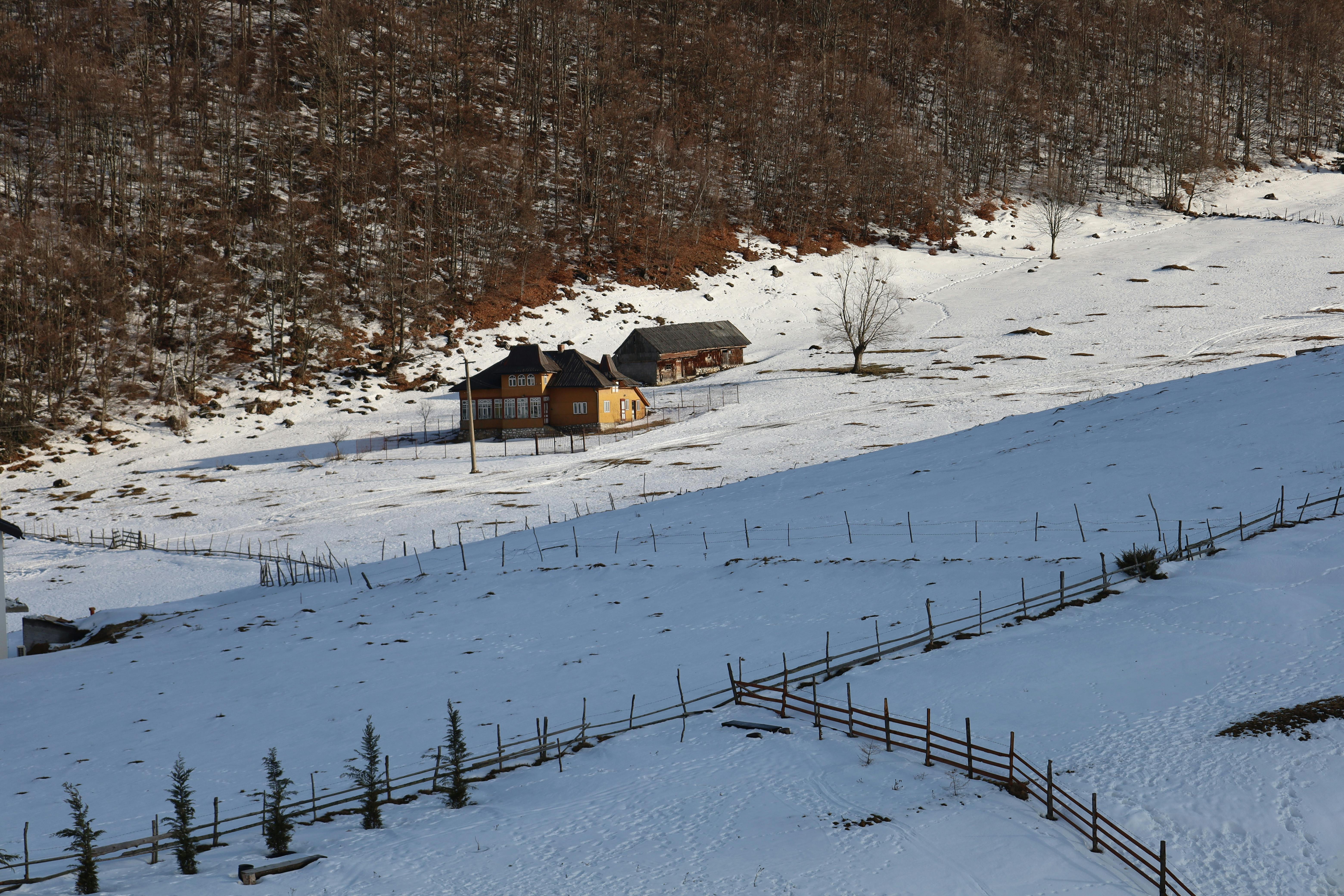 Innovative Tools for Remote Team Management