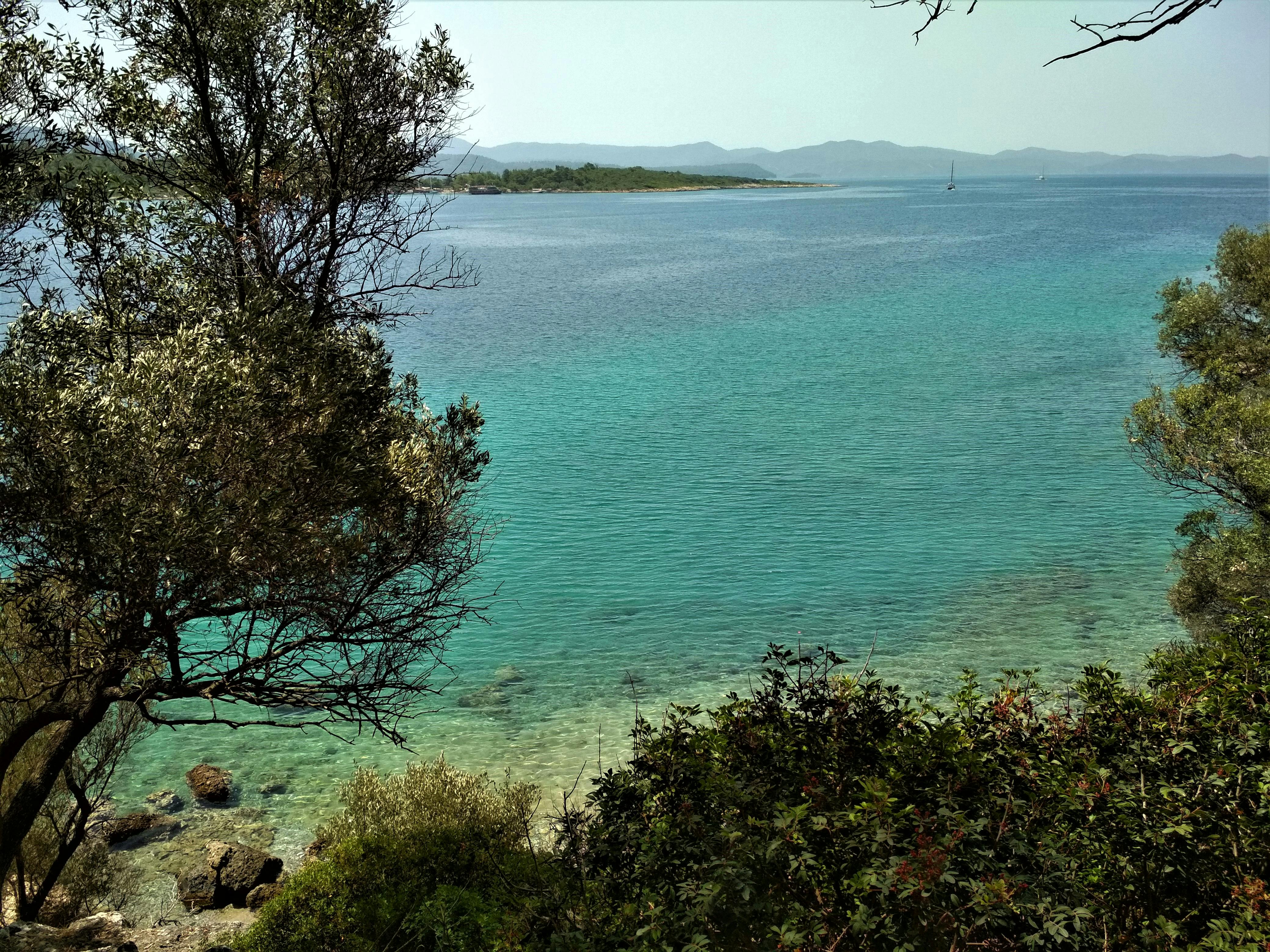 Celestial Drop Earrings