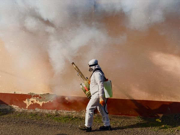 Pest control