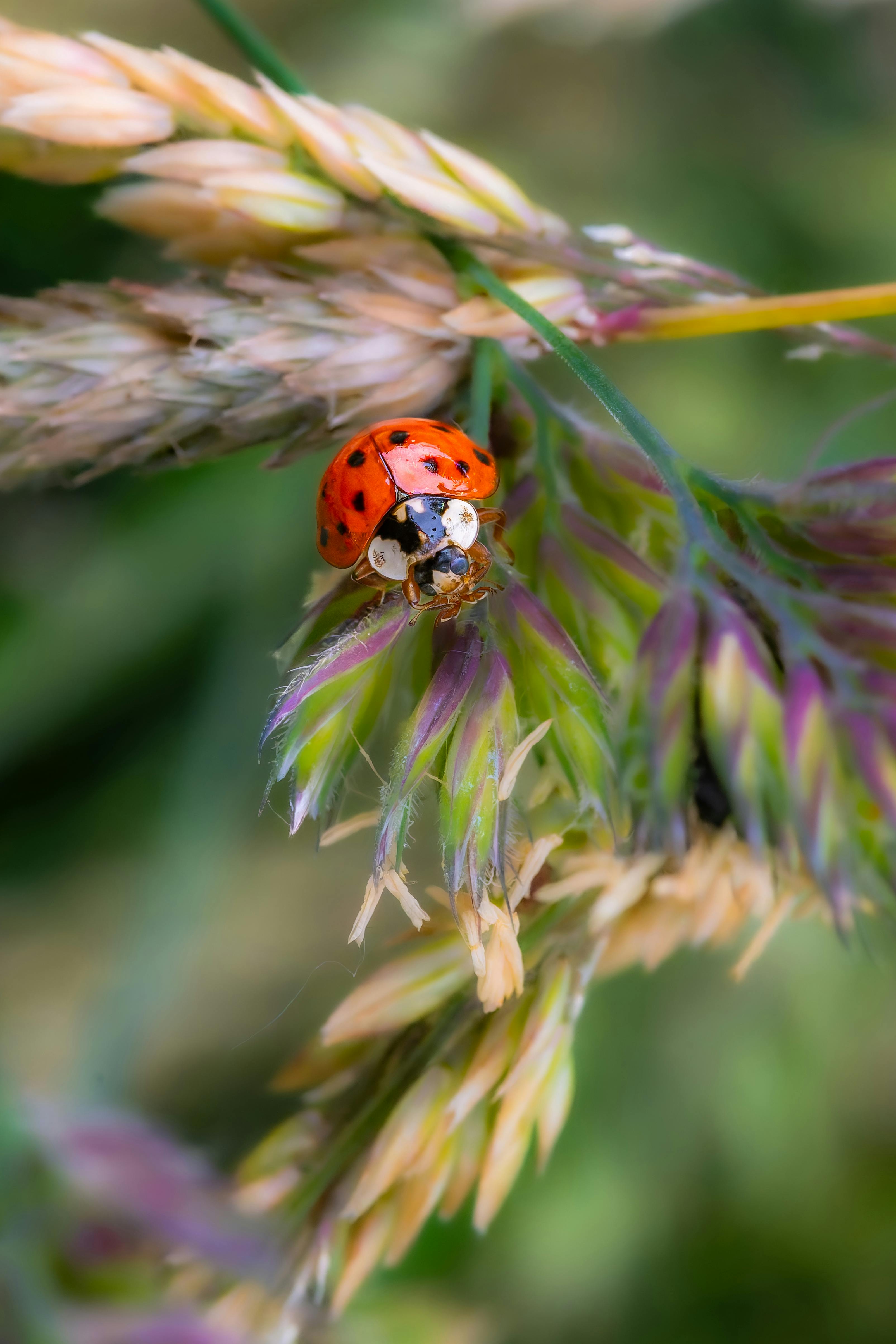 Tapu Devri Sürecinde Kaçırılmaması Gereken 8 Önemli Masraf: Bakırköy'de Daire Alacaklar İçin Rehber