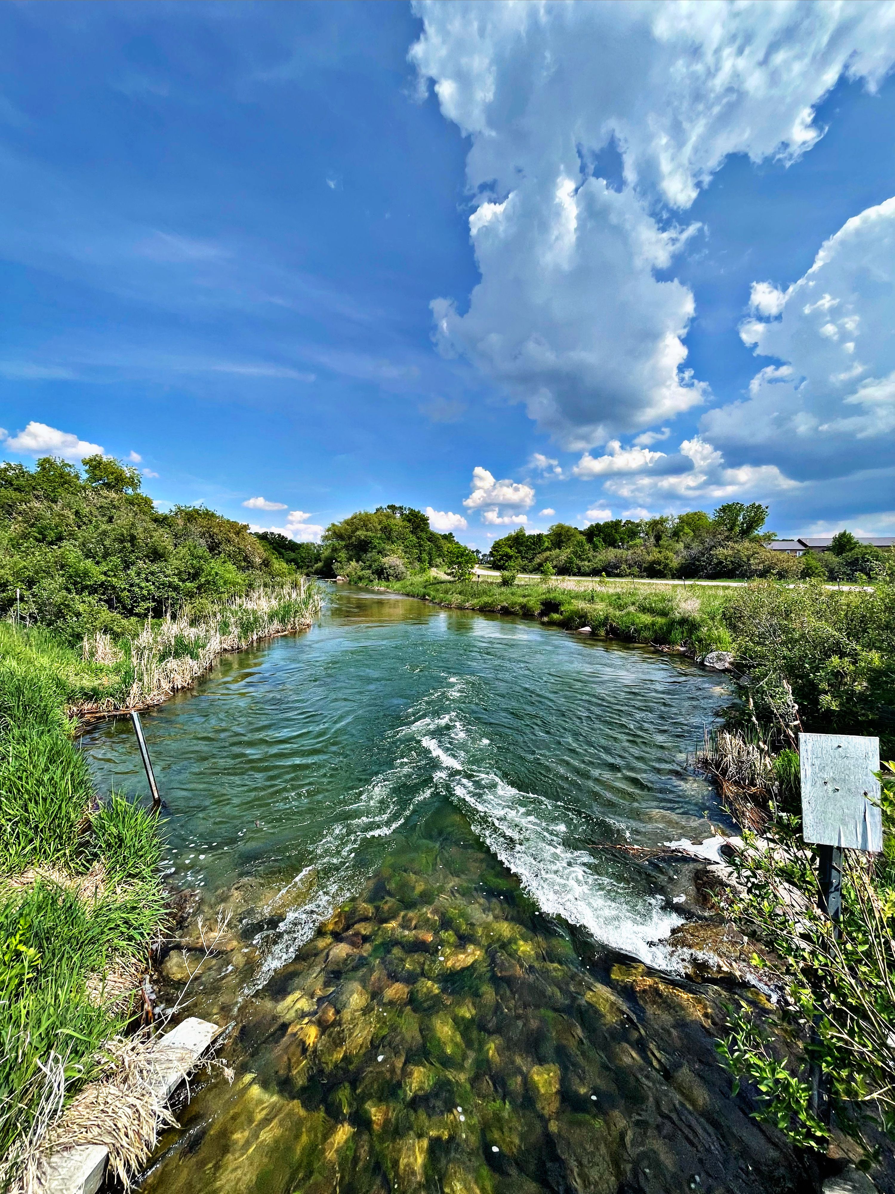 Scenic River Landscape with Lush Greenery and Blue Sky · Free Stock Photo