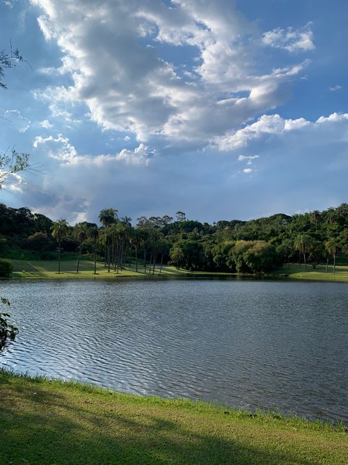 Free Serene lake view with trees and clouds in a sunny setting. Stock Photo