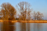 Serene Riverside Landscape in Late Winter