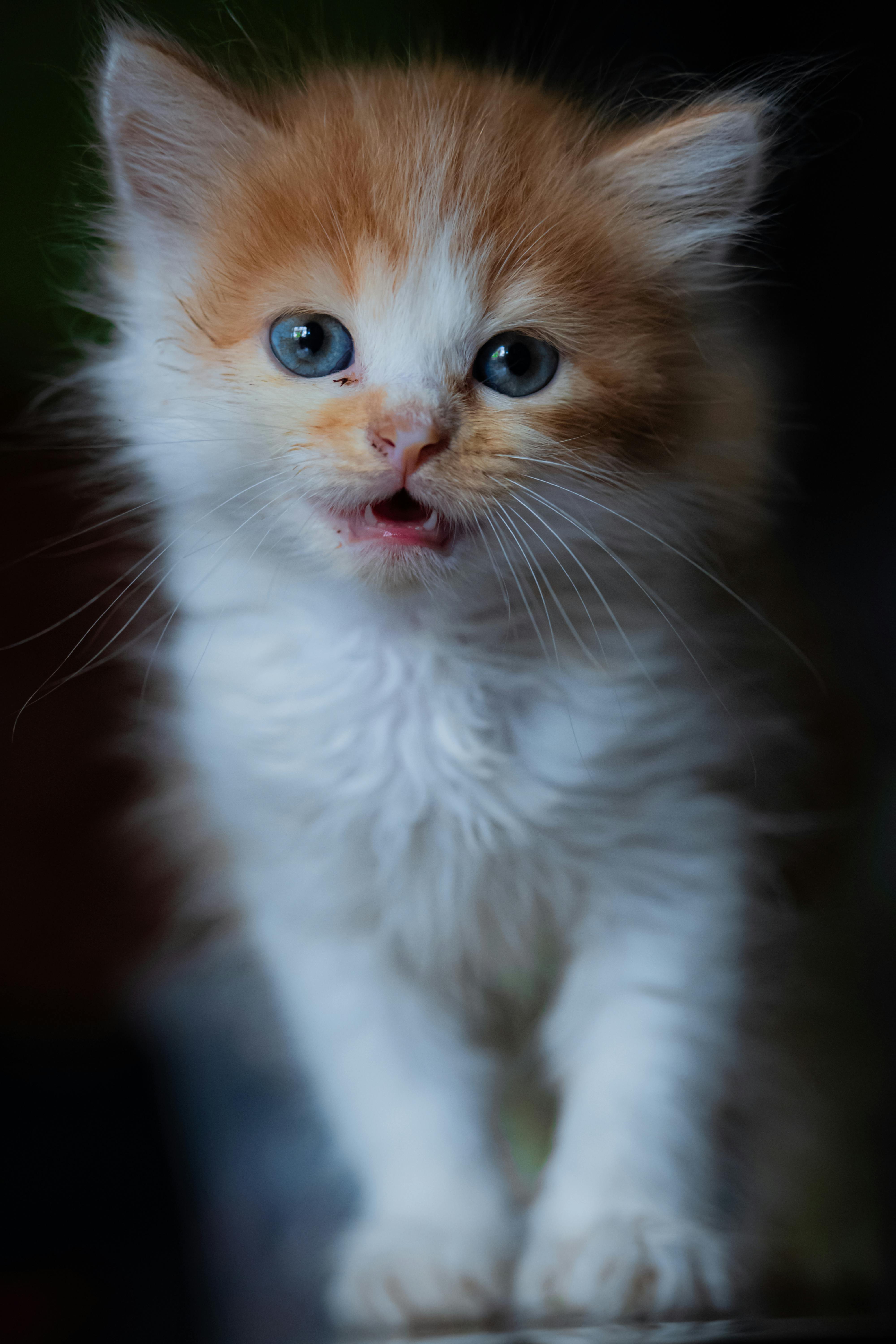 Tout est possible pour ceux qui croient.