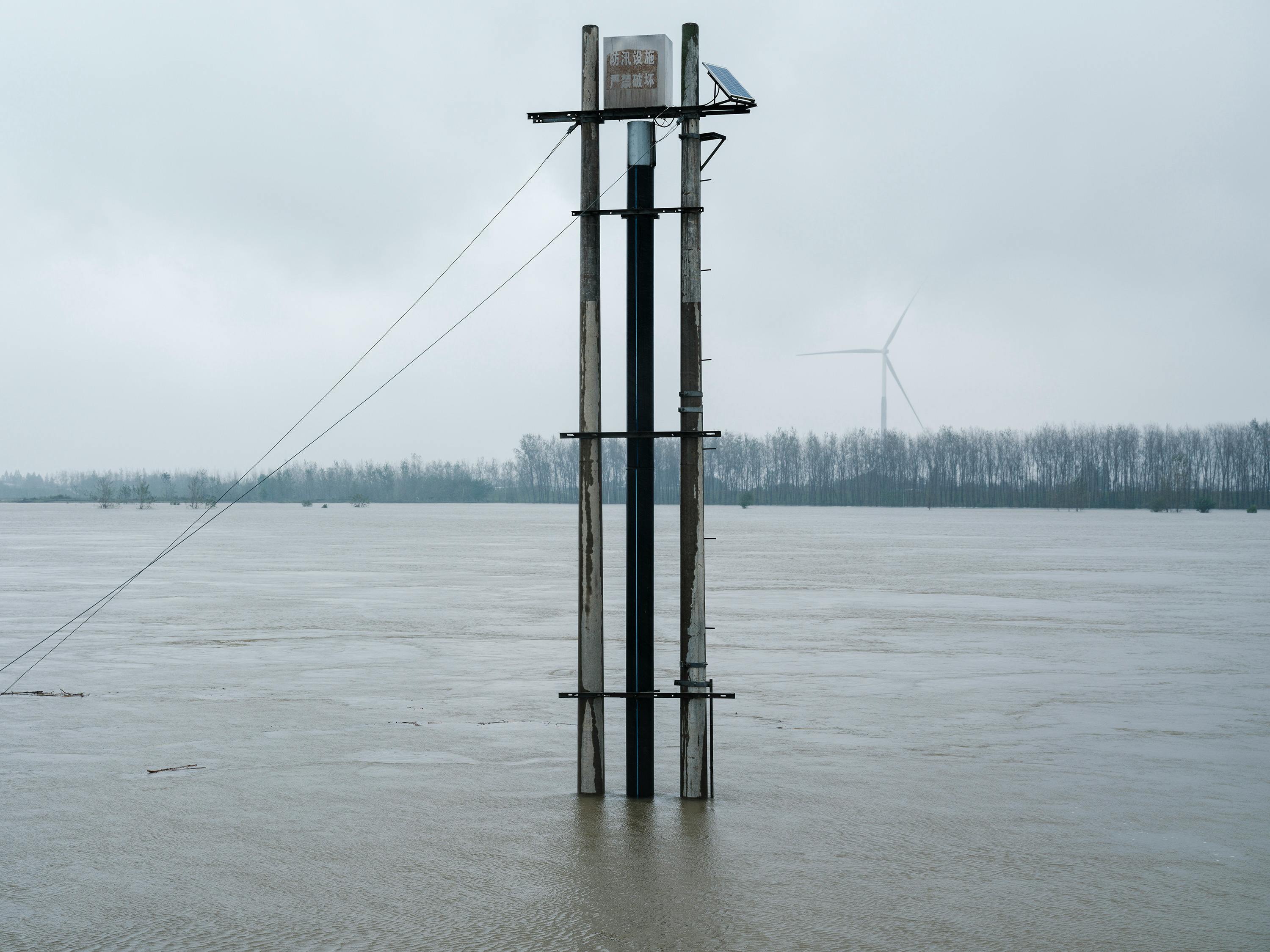 Impacts of the renewable energy transition on global plant diversity: A review — Photo by zeng jinwen on Pexels