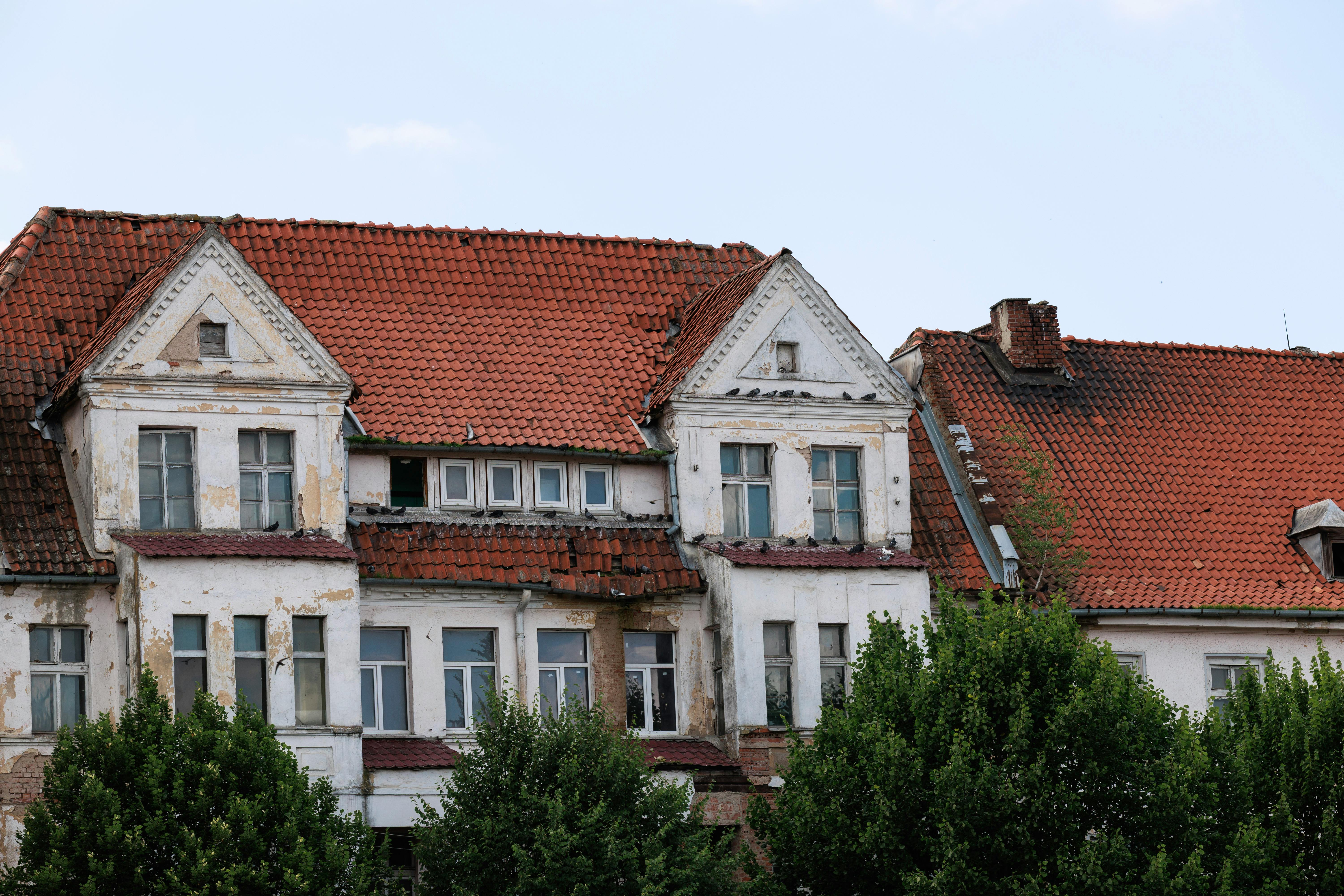 Roof Leak Water Damage service in San Jose, California — appliance leak detection and cleanup
