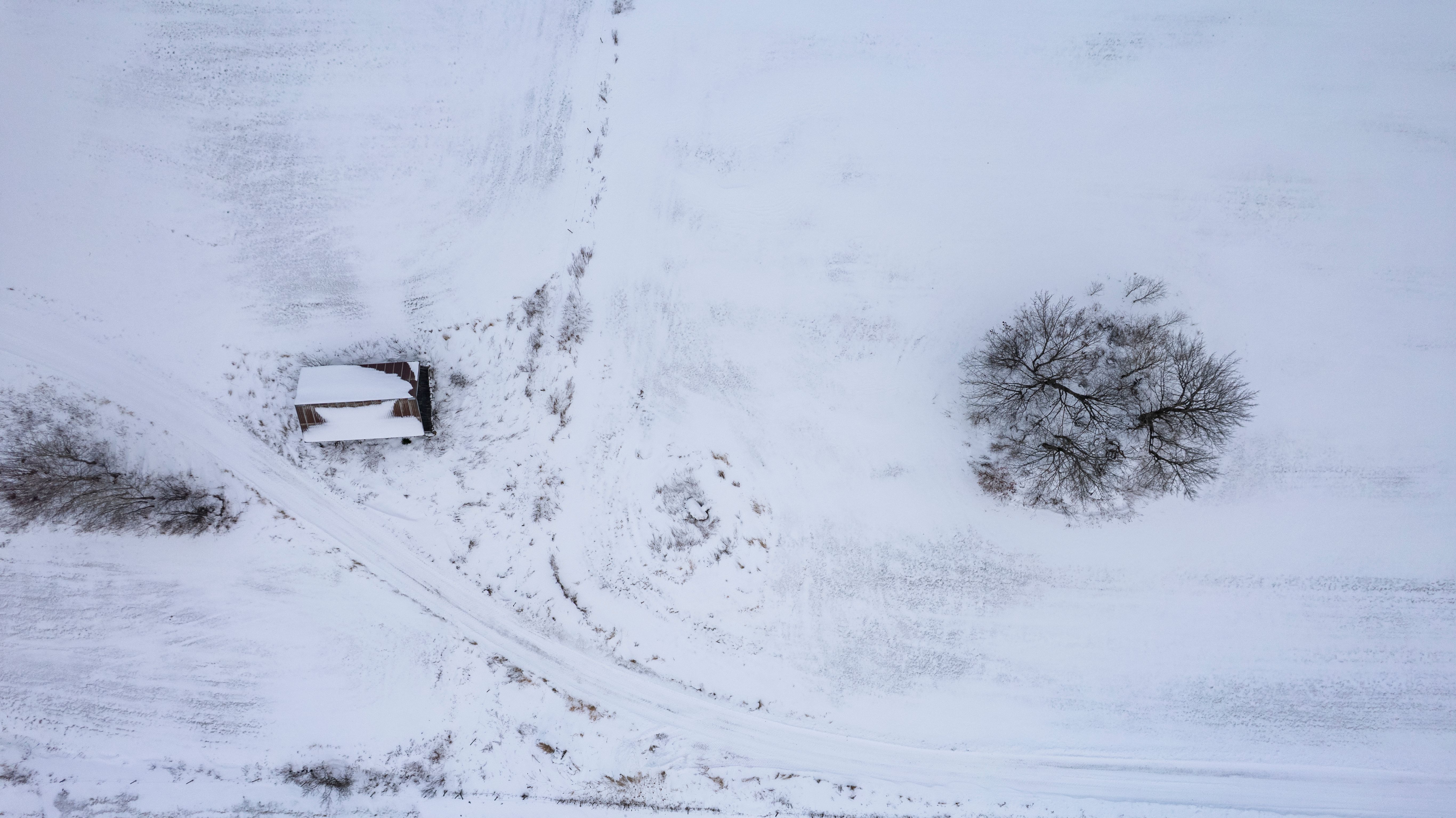 Aerial Winter Landscape of Snowy Field and Tree · Free Stock Photo