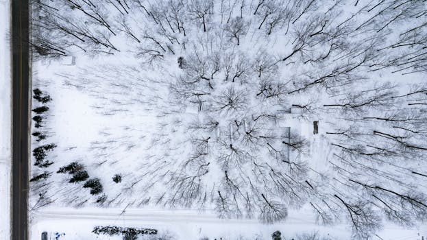 Aerial shot of a snow-covered forest in Sainte-Marie, Québec, showing bare trees and serene winter landscape.