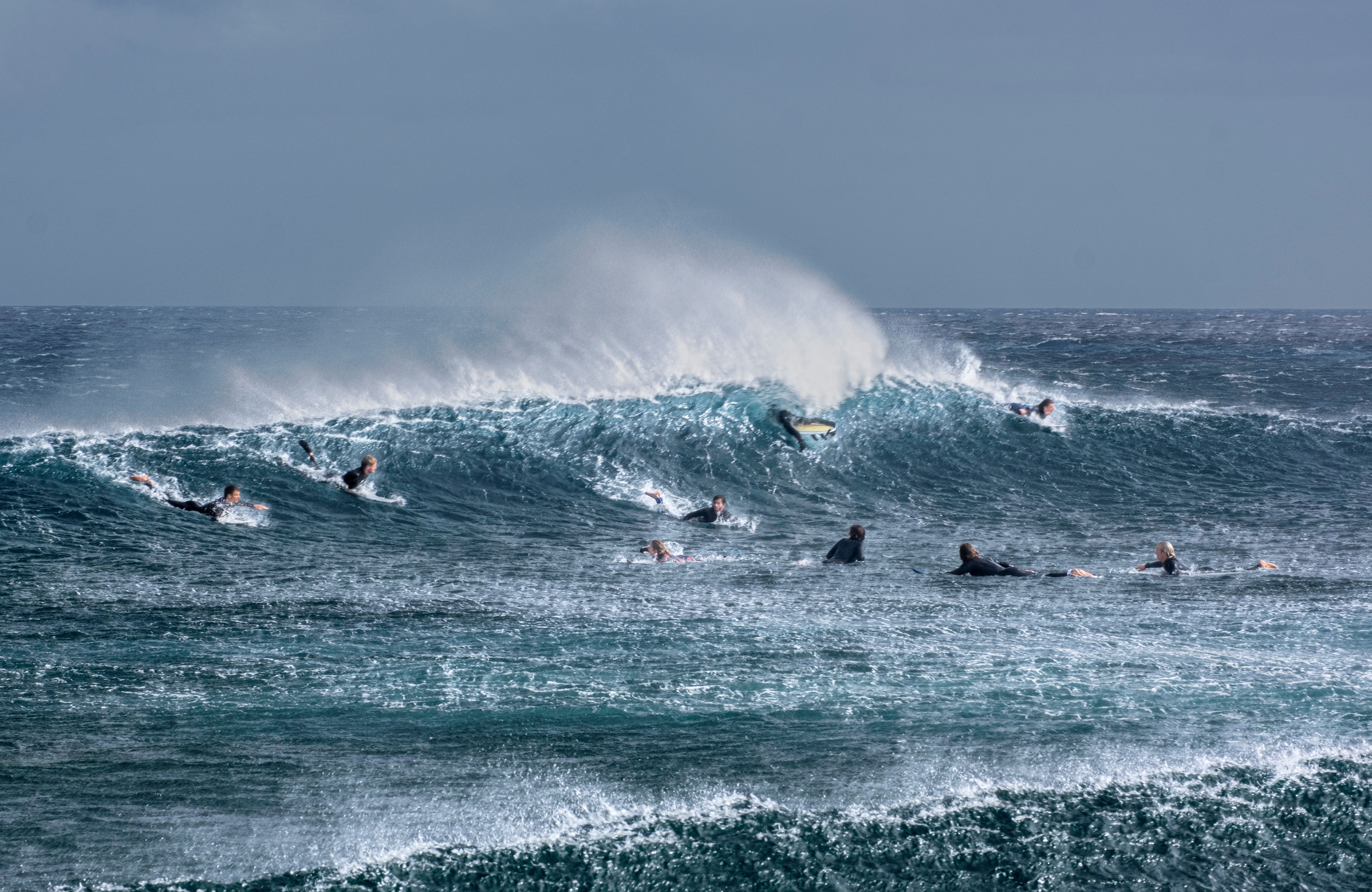 Surfers Riding Waves in Blue Ocean Scene · Free Stock Photo