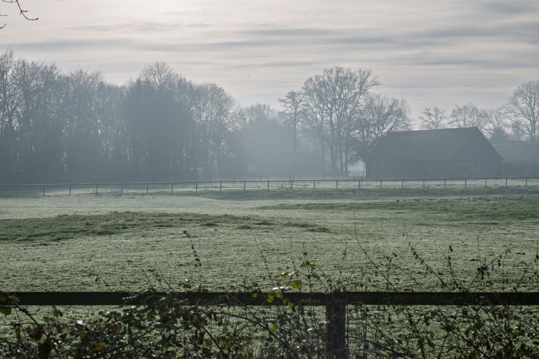 Christmas Gift Ideas for Smallholding Owners
