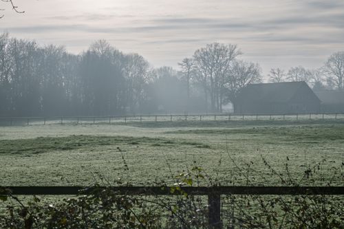 Free Serene landscape of a misty countryside field at dawn with fog and trees. Stock Photo