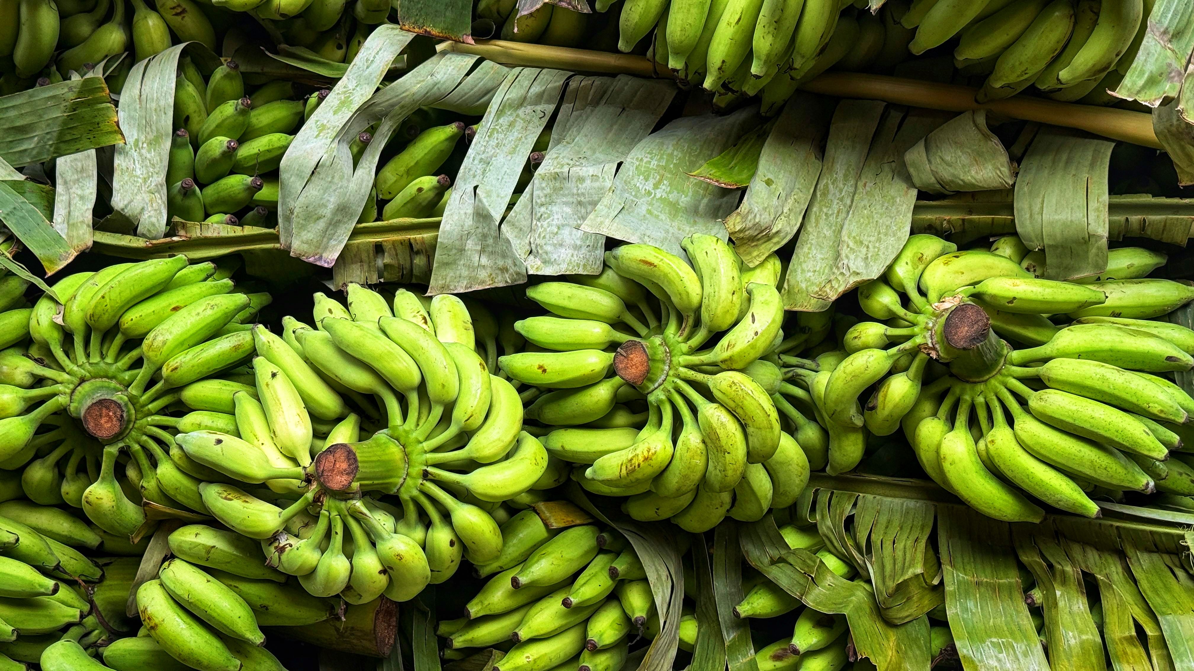 Saratamata Market