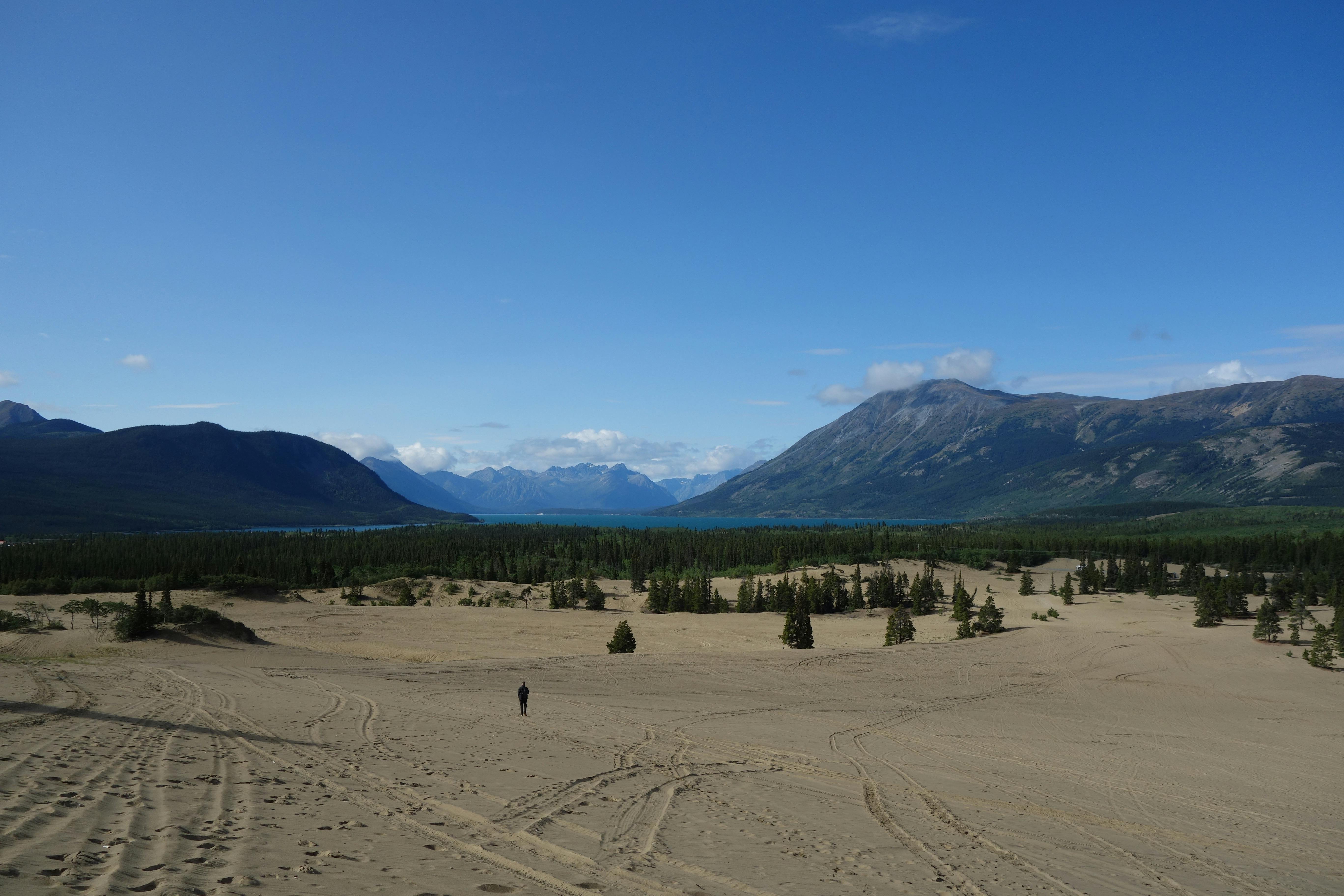 Photo of Carcross Desert