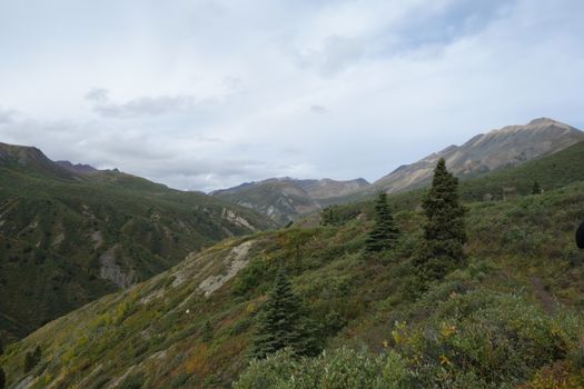 Discover the breathtaking views of a lush green valley in Canada's picturesque wilderness.