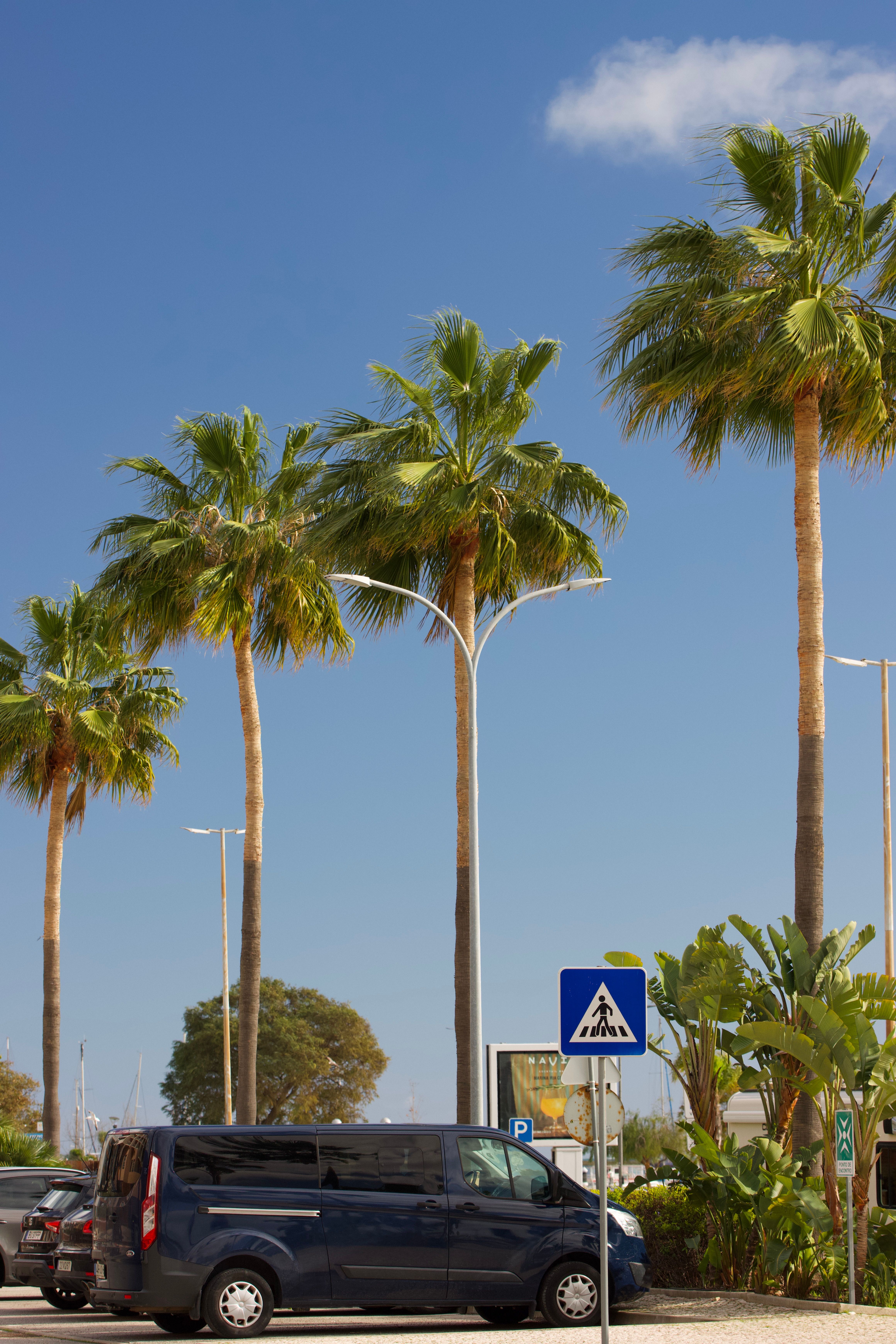 Sunny day with palm trees and traffic sign in Olhão, Portugal.