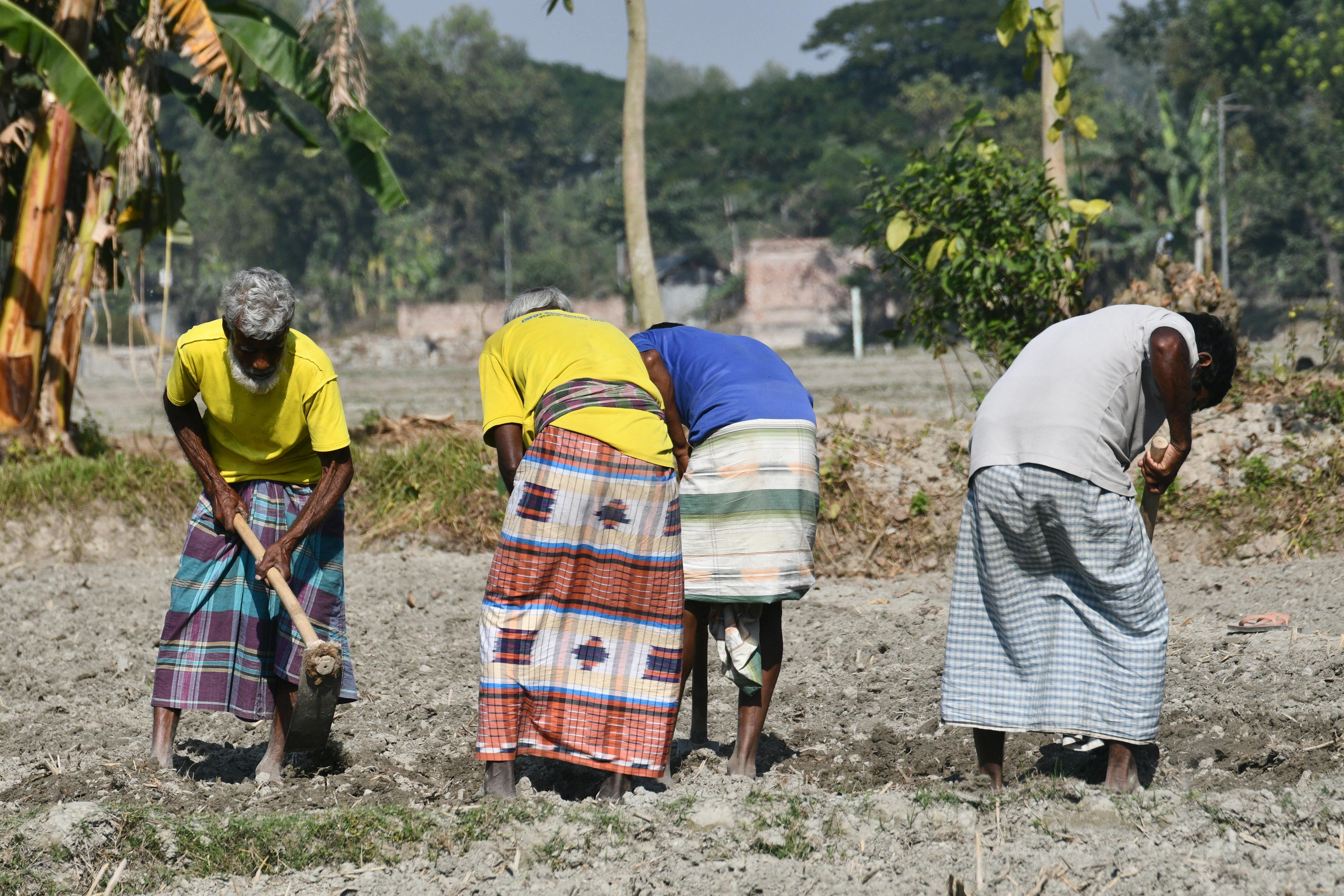 Many farmers utilize life insurance for farm financing — Photo by masudar rahman on Pexels