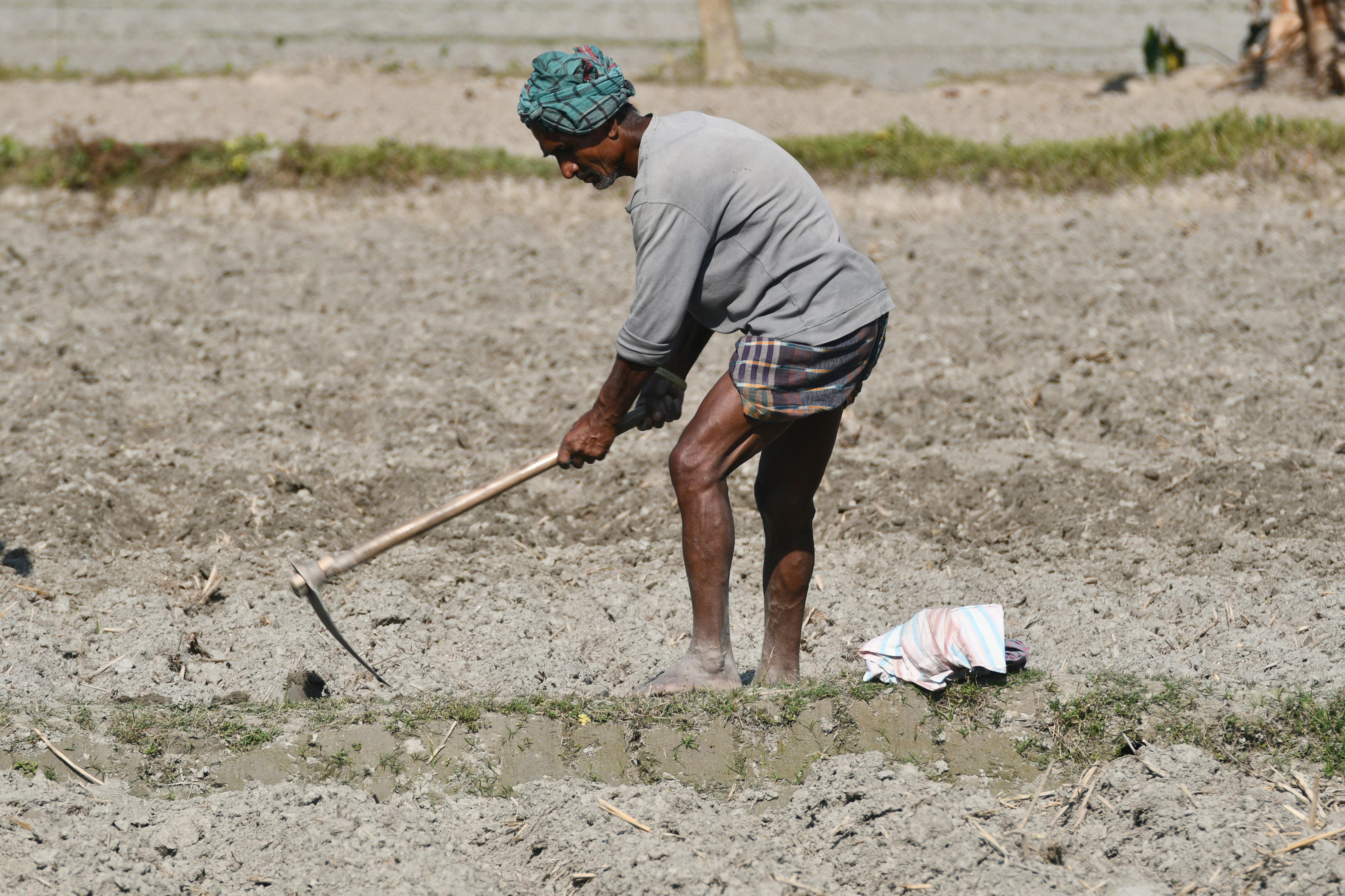 Many farmers utilize life insurance for farm financing — Photo by masudar rahman on Pexels