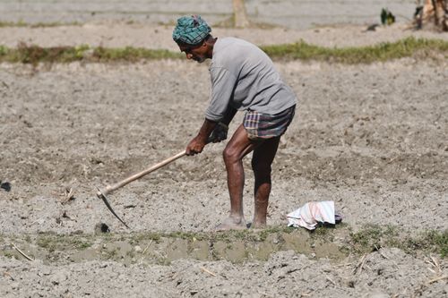 Free A farmer manually working with a hoe in Rangpur, Bangladesh. Stock Photo