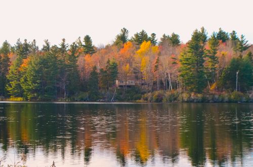 Free A tranquil Vermont lake reflecting colorful autumn trees under a clear sky. Stock Photo