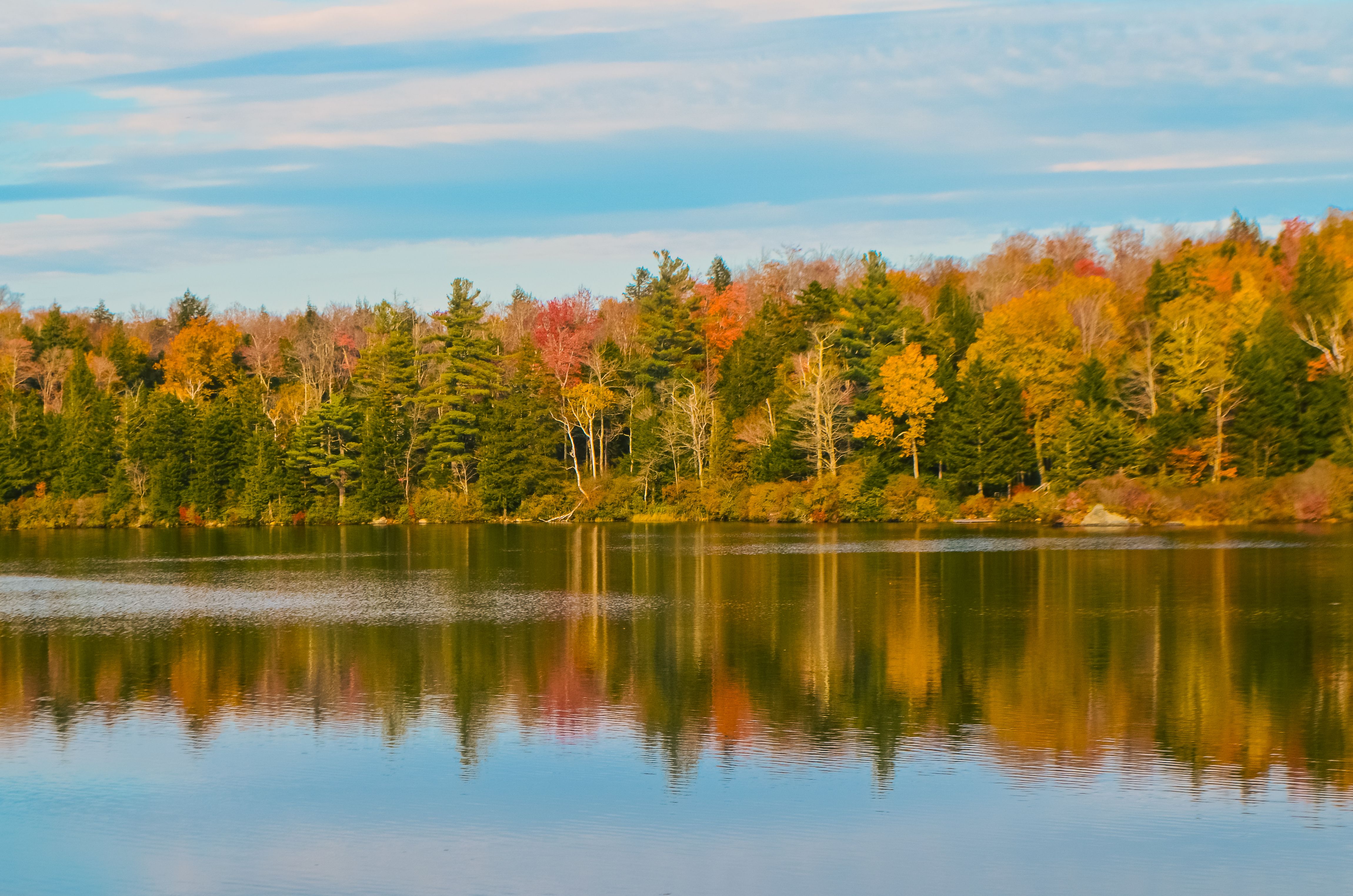 Serene autumn landscape in Vermont with colorful foliage reflected in a calm lake under a blue sky.