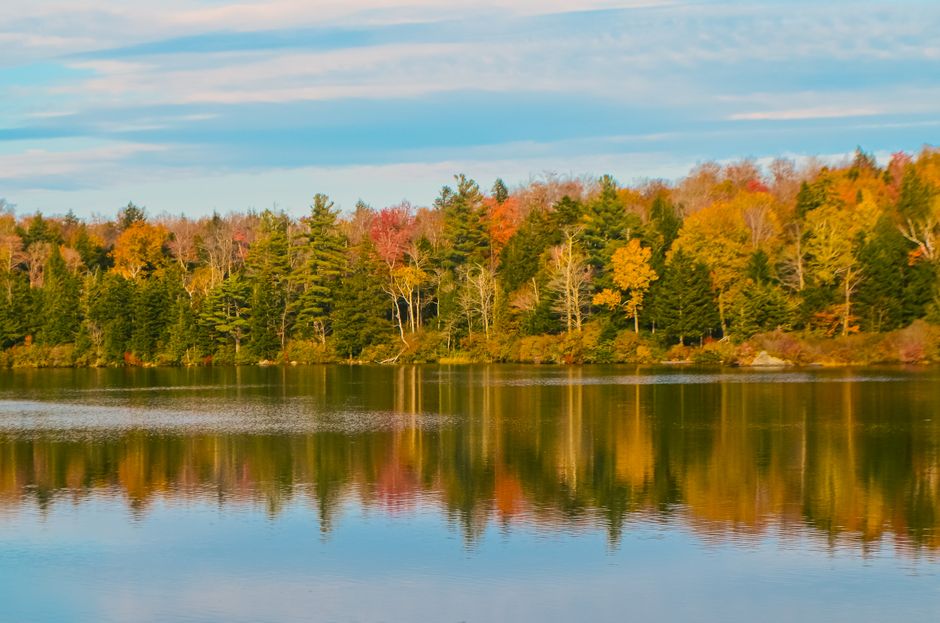 Serene autumn landscape in Vermont with colorful foliage reflected in a calm lake under a blue sky.