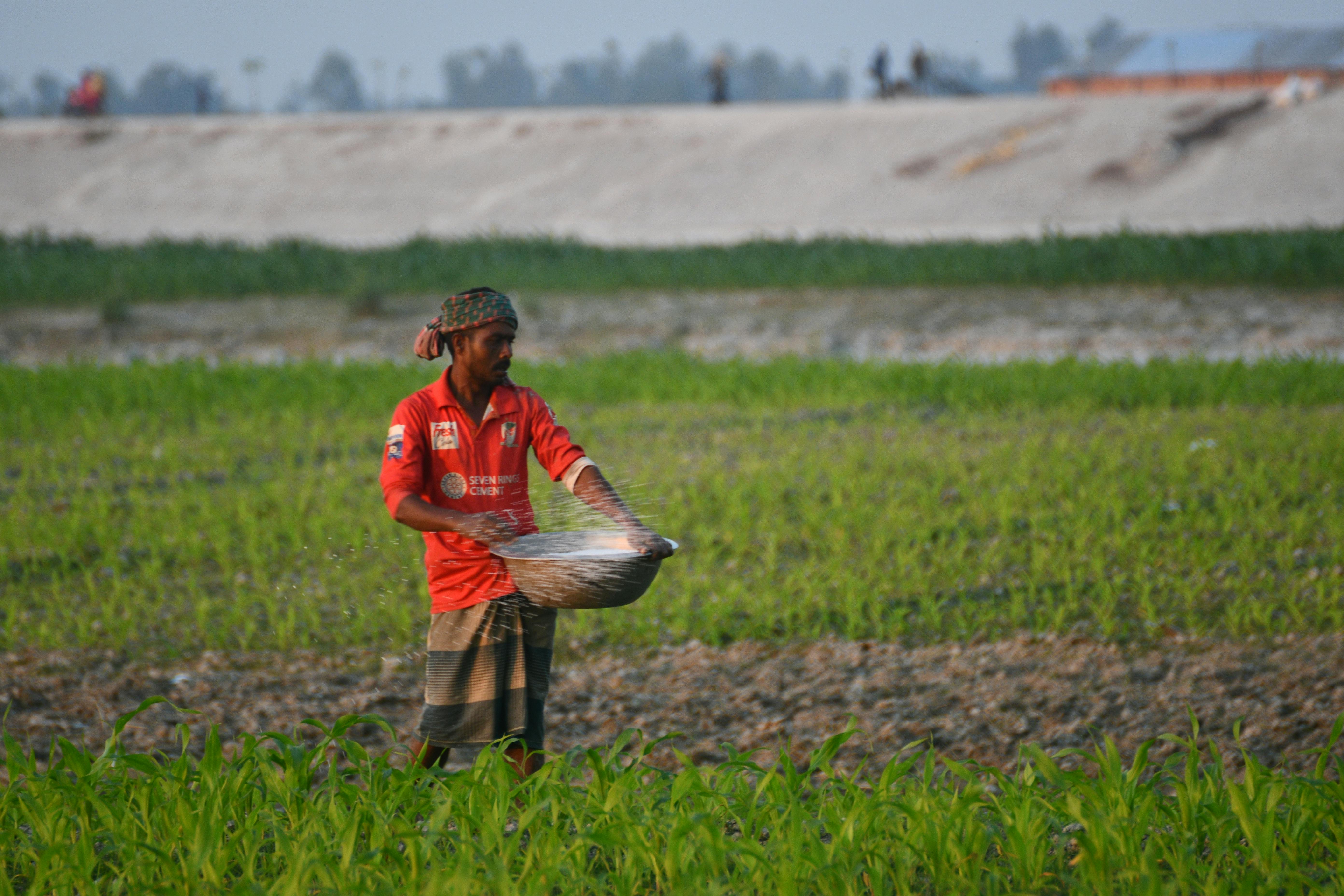 adubo foliar para orquideas