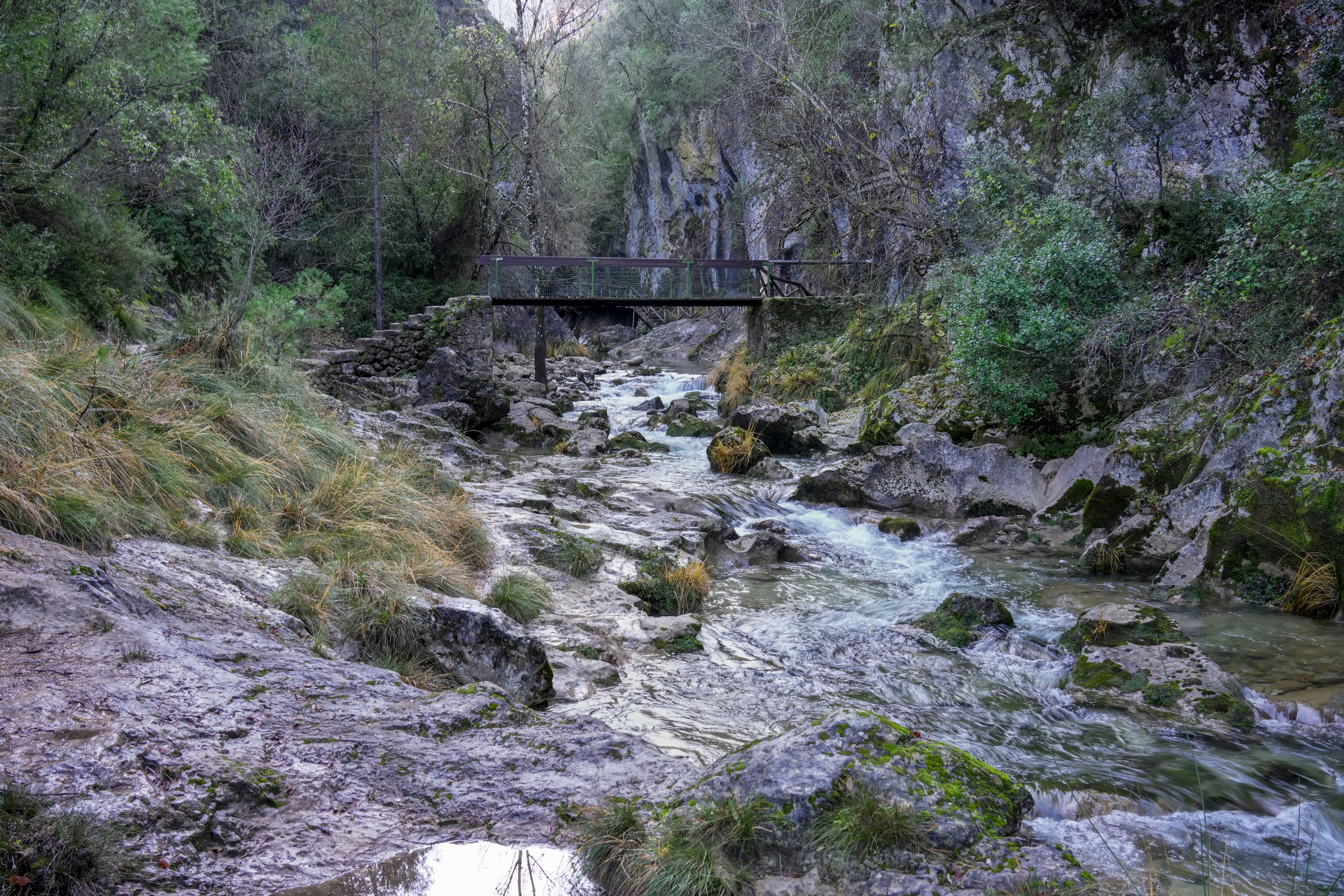 Serene river and bridge in Cazorla Natural Park, Andalucía, showcasing lush greenery and rocky terrain. - Cazorla