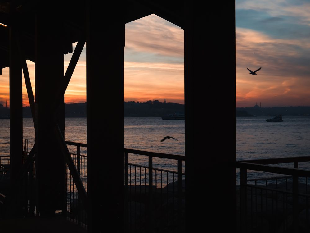 Scenic Waterfront Sunset with Birds Silhouette · Free Stock Photo