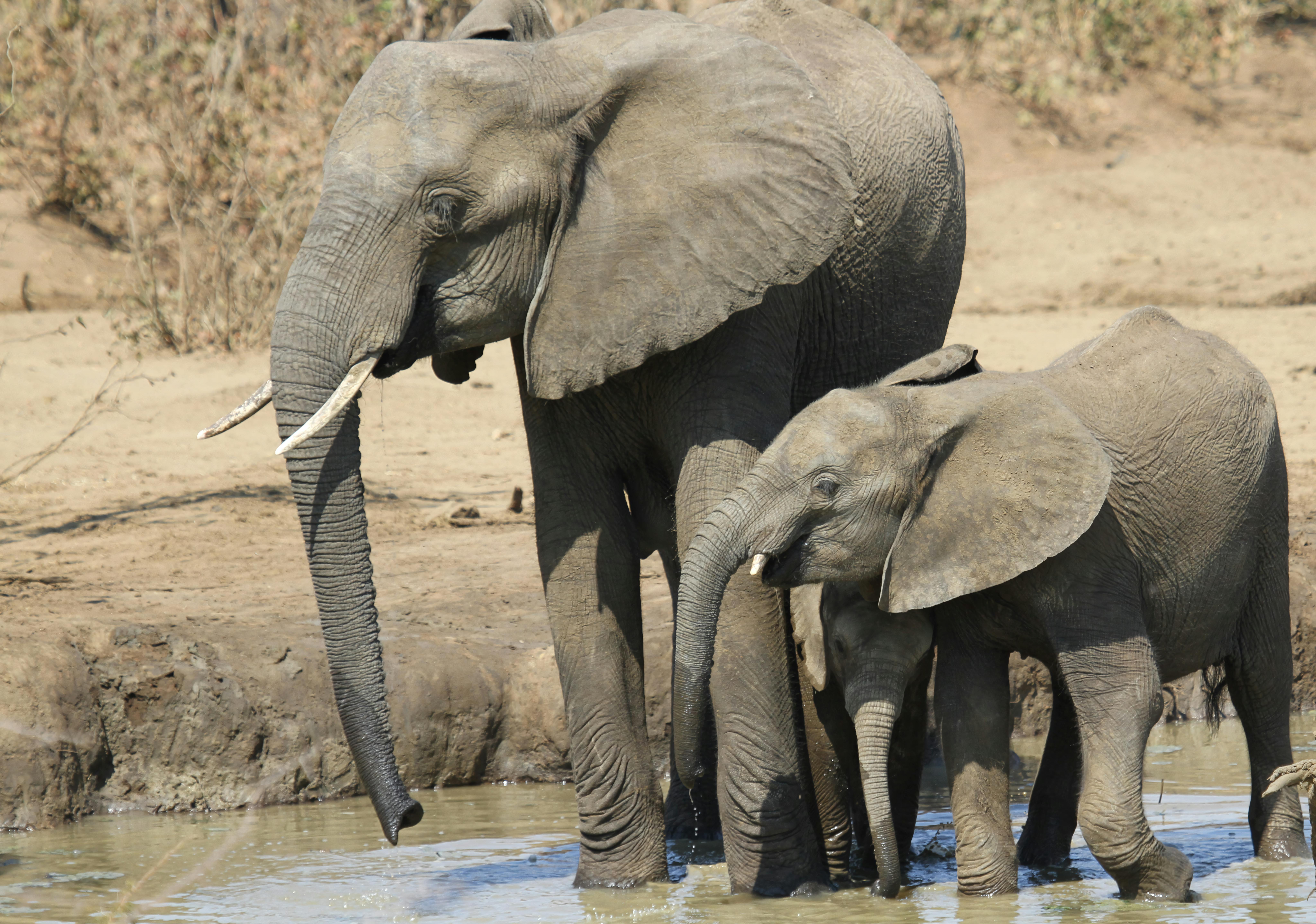 Sneaker Resale: Boost Your Profits with Proper Authentication