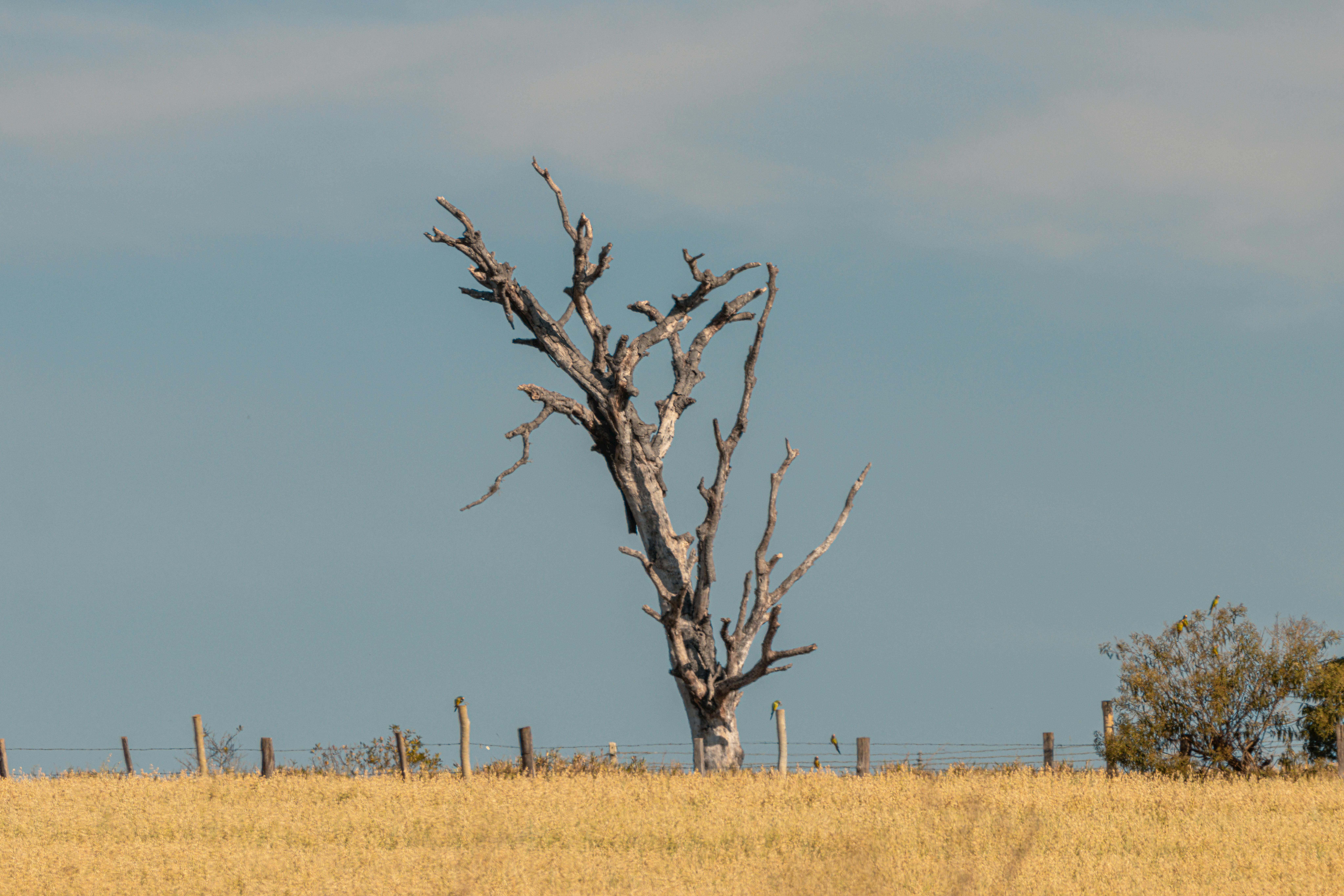 Invisible Force Fields Altering Your Subconscious: Exploring the Hidden Influences