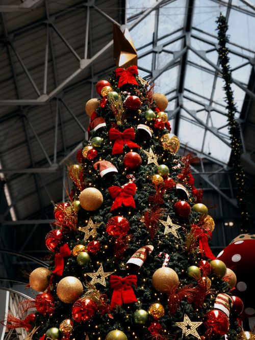 Free Festively adorned Christmas tree indoors with ornaments and lights. Stock Photo