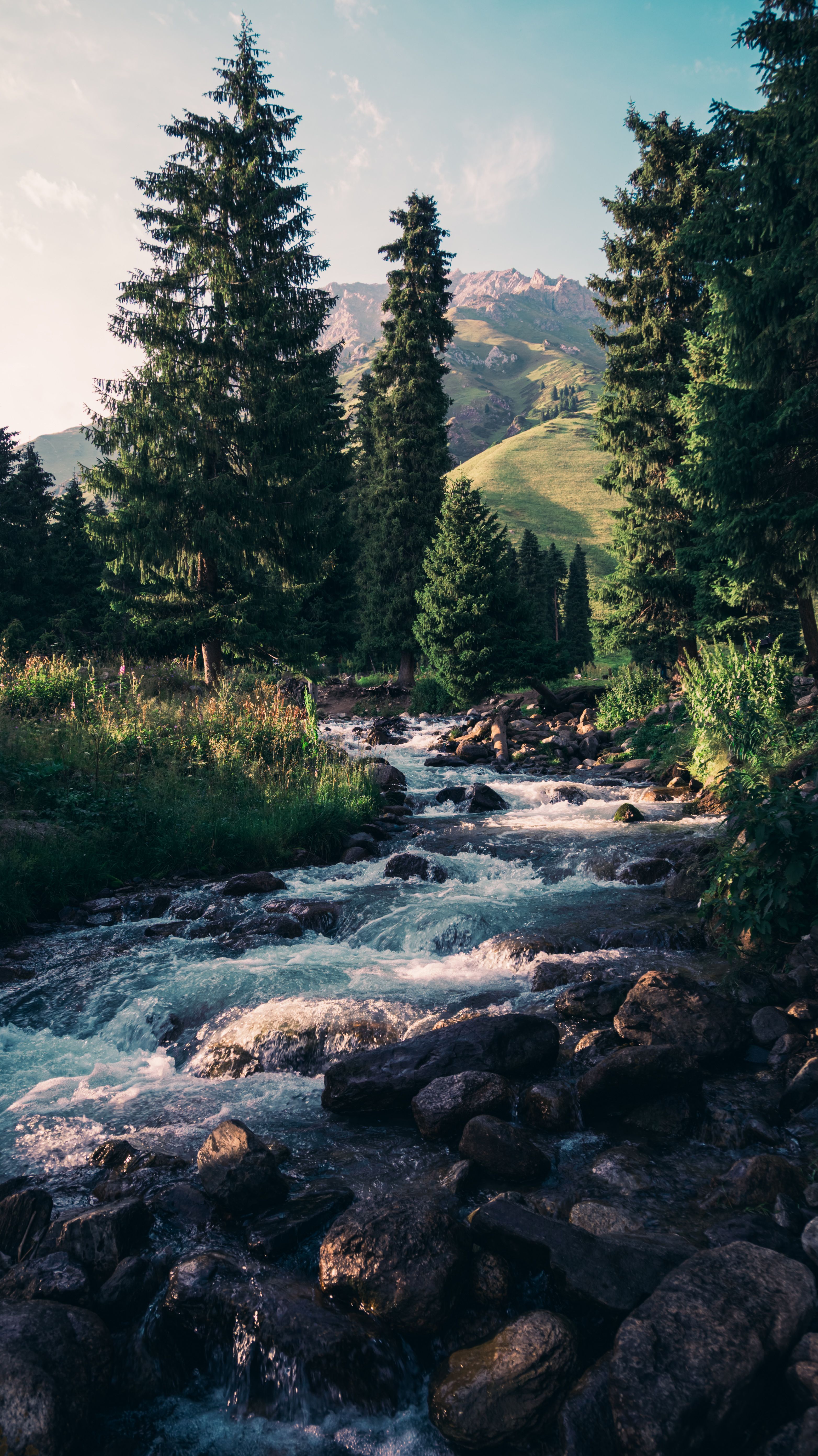 A picturesque mountain stream flows through a lush forest with towering trees and distant hills.