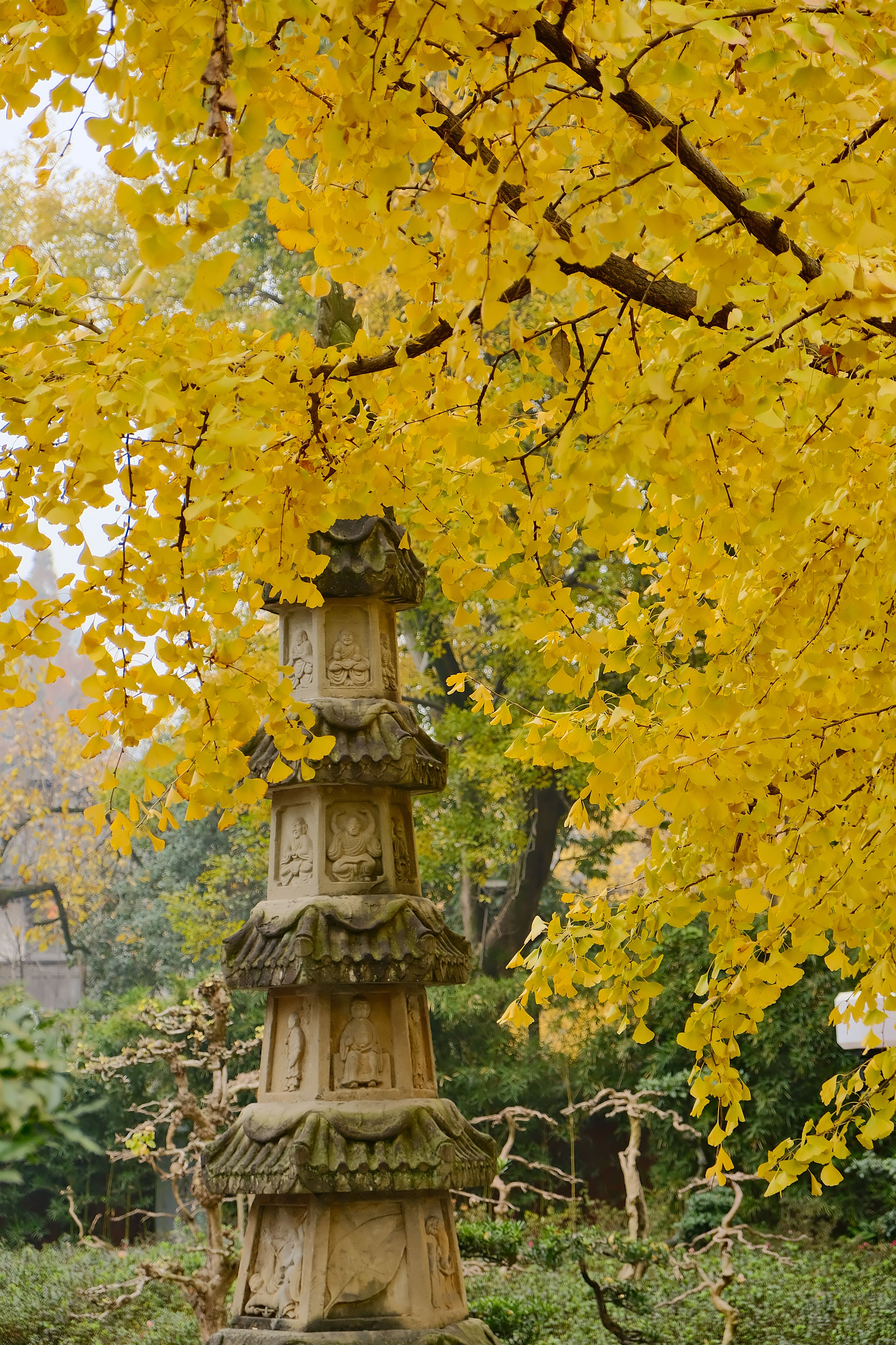 Ancient Stone Pagoda in Vibrant Fall Foliage · Free Stock Photo