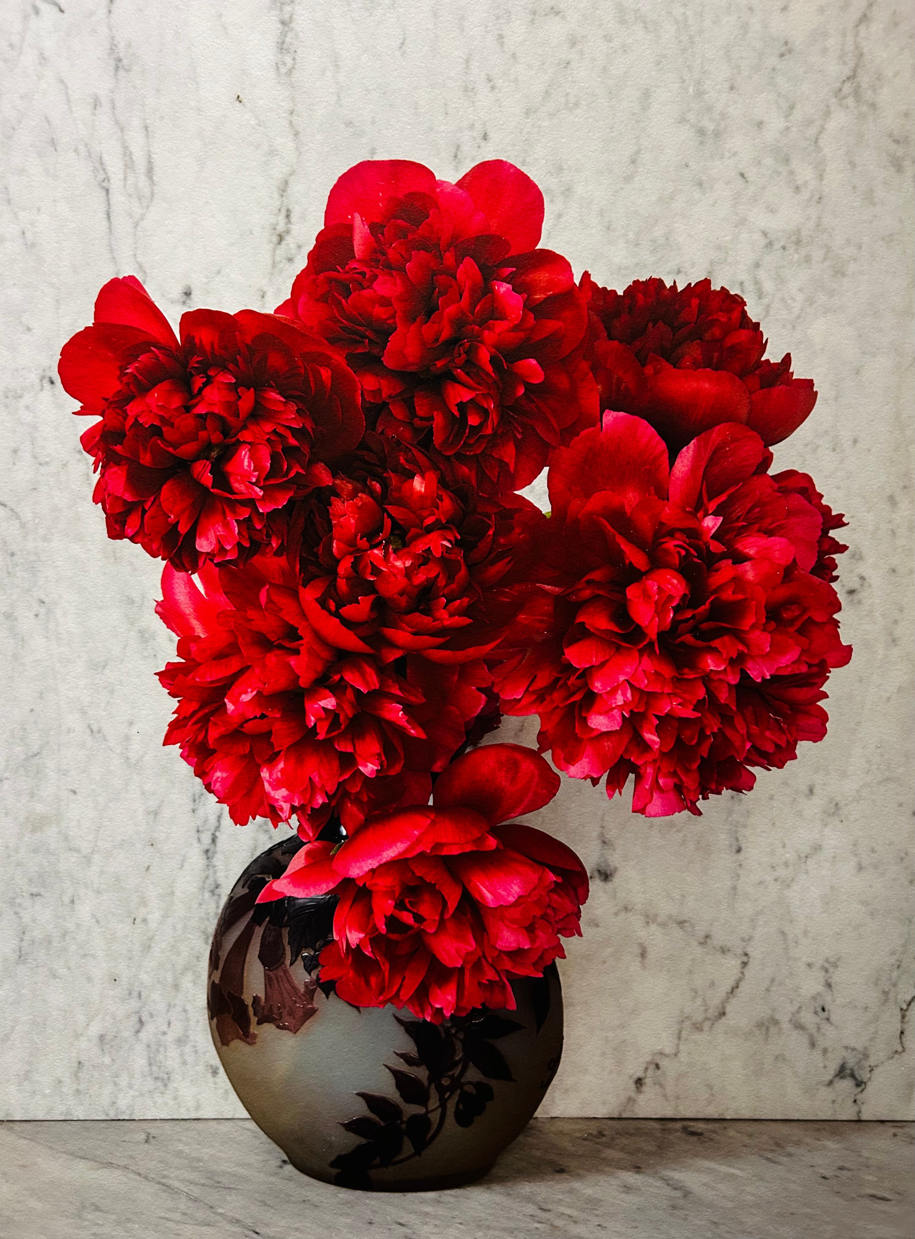Bright red peonies in a dark vase against a marble background.