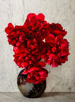 Bright red peonies in a dark vase against a marble background.