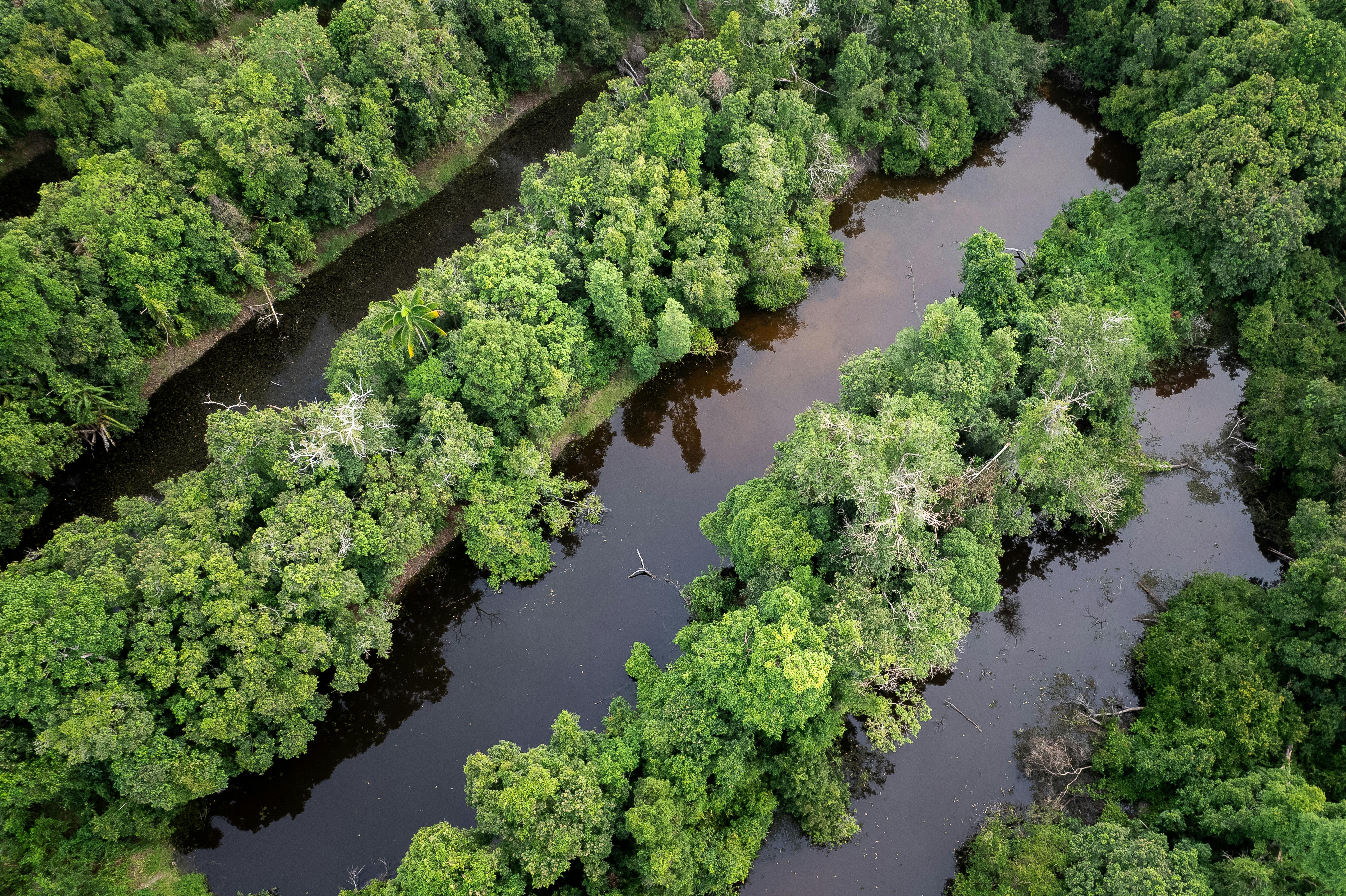 Visualizing Earth from Above