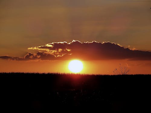 Darmowe zdjęcie z galerii z natura, zachód słońca